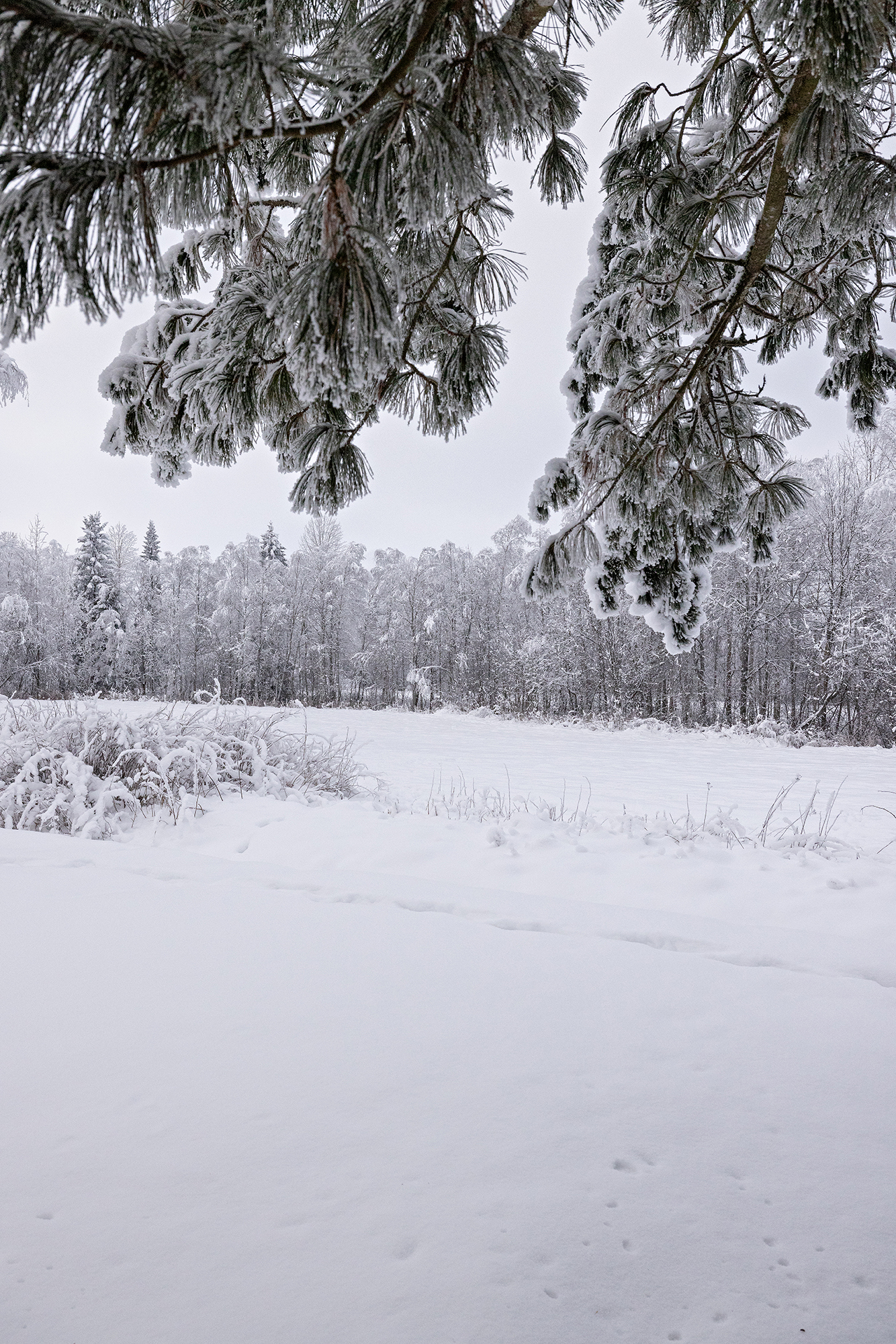 Ratapellontie 25, Kärnä, Muhos