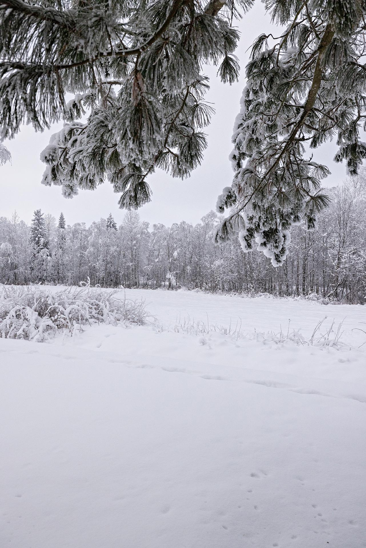 Ratapellontie 25, Kärnä, Muhos