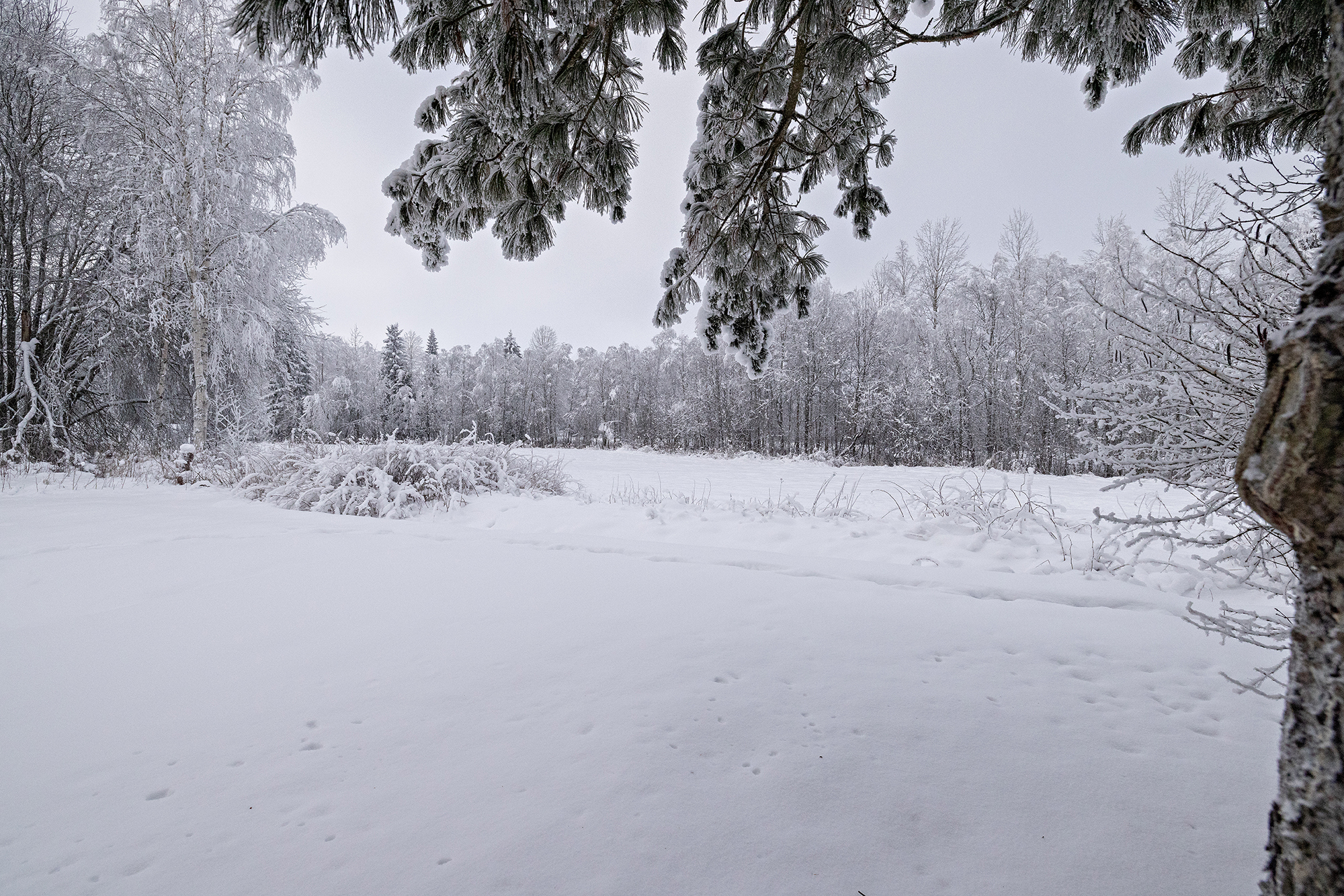 Ratapellontie 25, Kärnä, Muhos