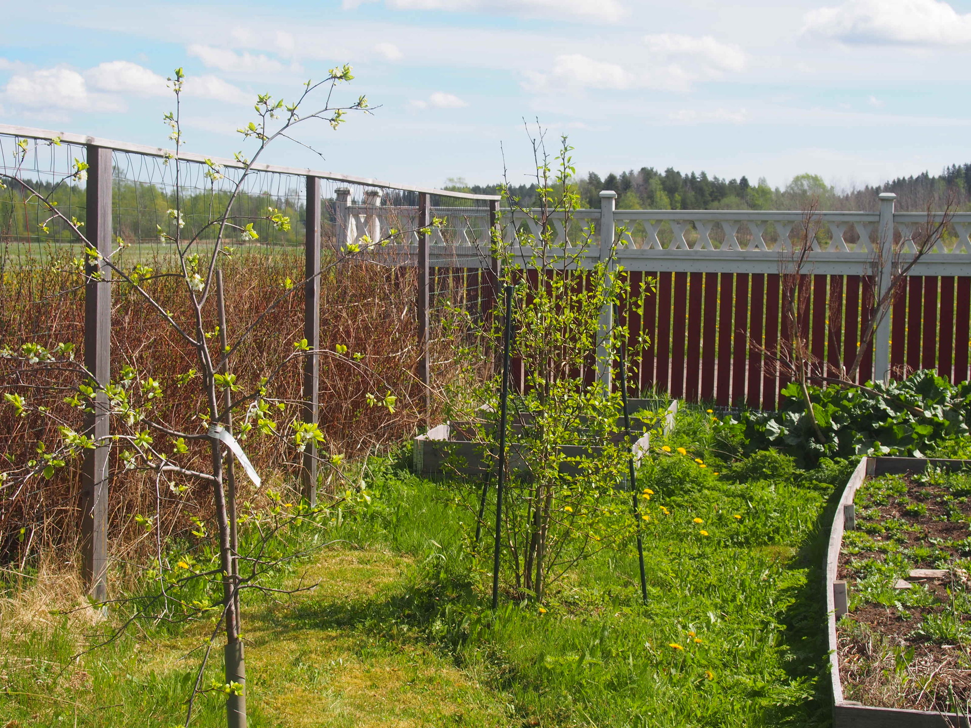 Hirvijärventie 14, Onkemäki, Vesilahti