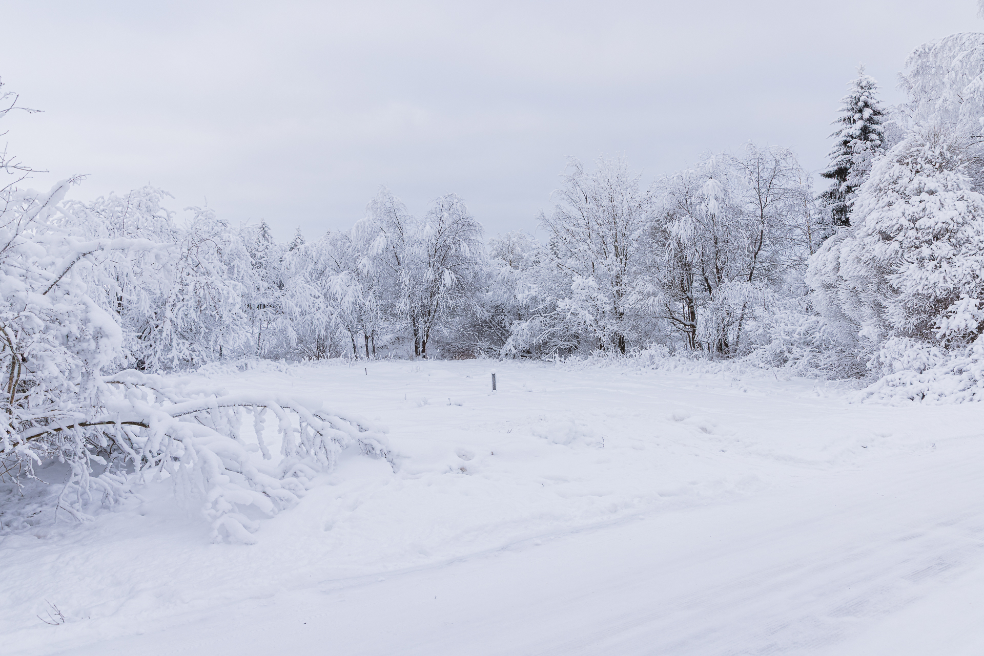 Honkapirtintie 15, Korvensuora, Oulu