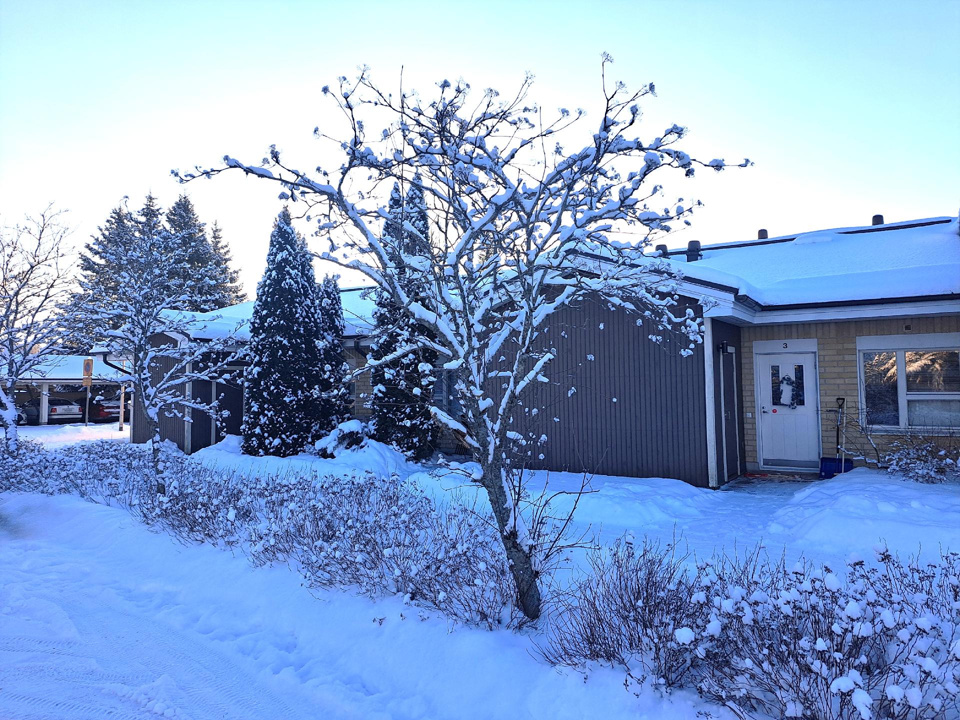 Lupiinikatu 15, Kyrölä, Järvenpää