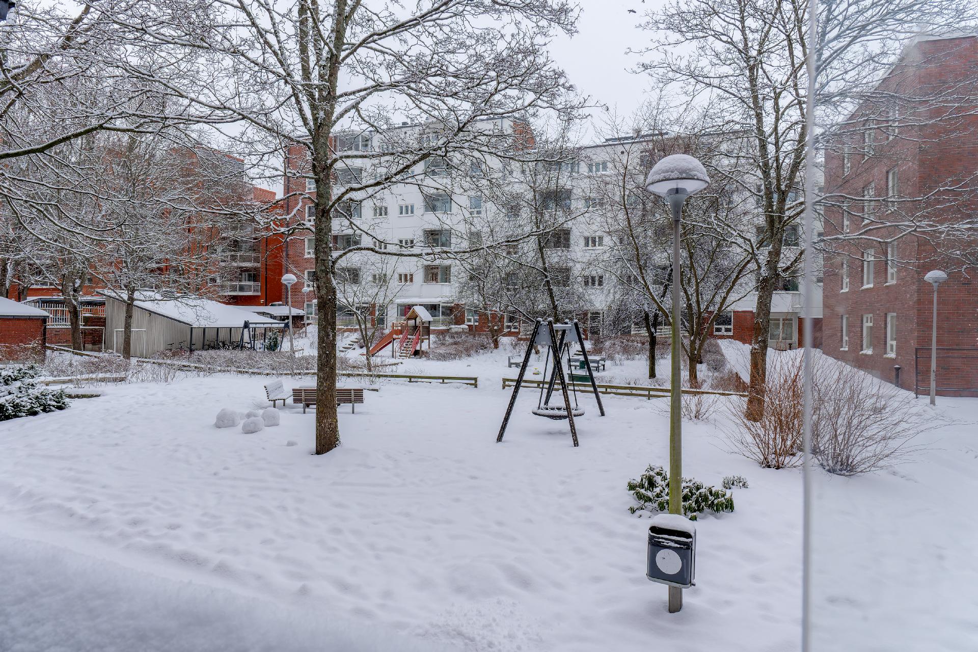 Korttelipihat ovat vehreitä ja tilavia