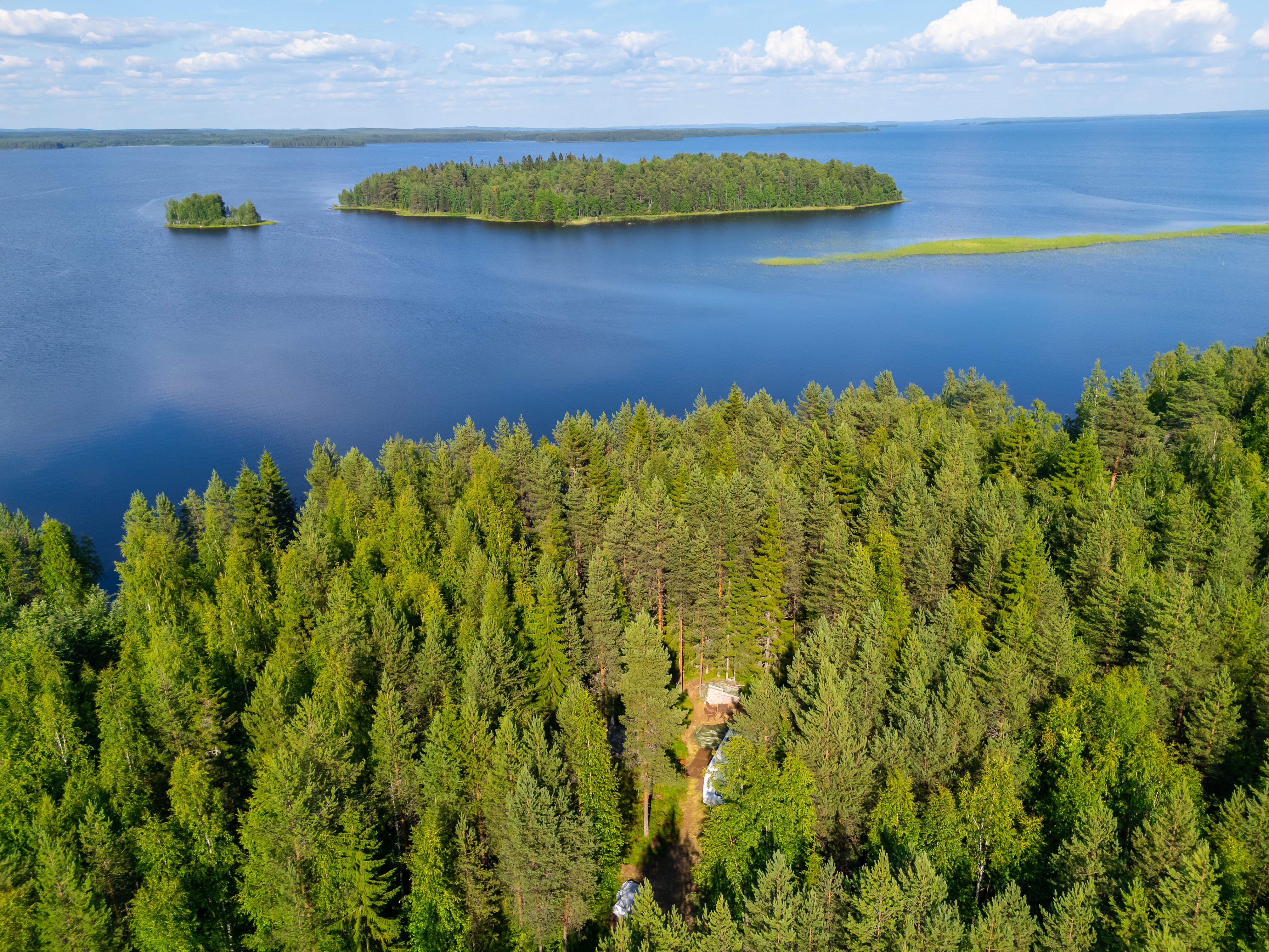 Neuvosenniementie 46, Varisniemi, Paltamo