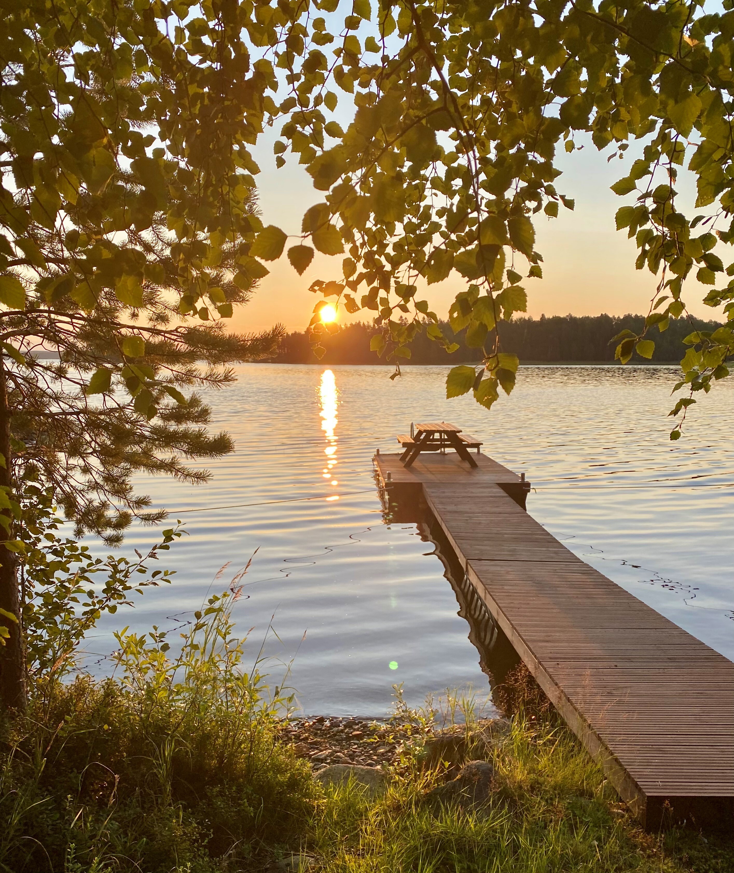 Neuvosenniementie 46, Varisniemi, Paltamo