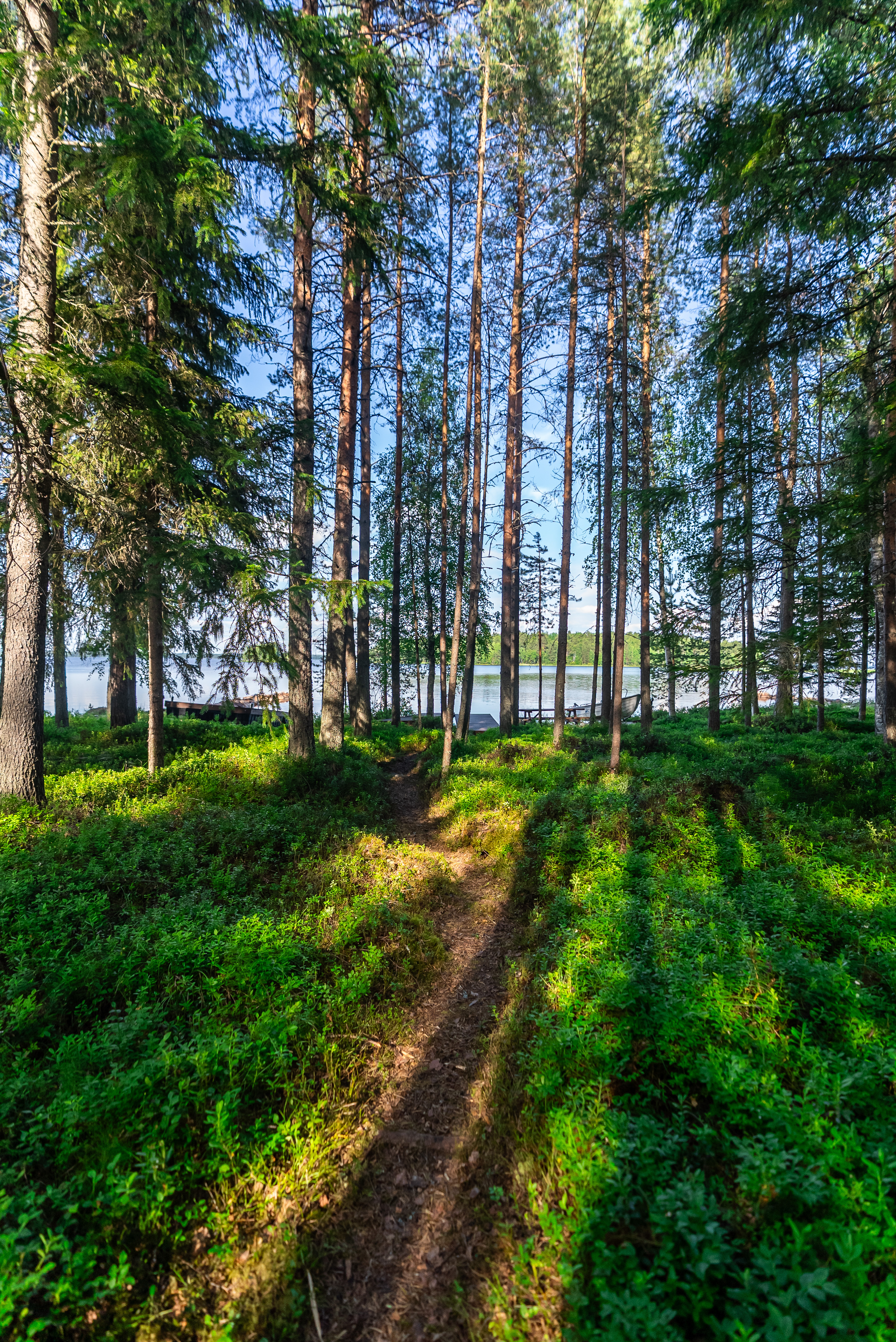 Neuvosenniementie 46, Varisniemi, Paltamo