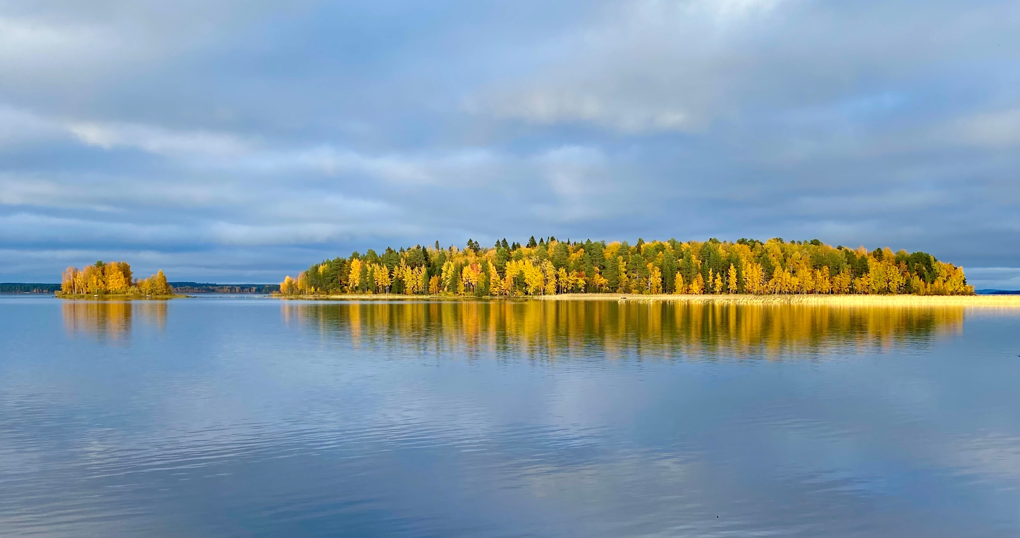 Neuvosenniementie 46, Varisniemi, Paltamo