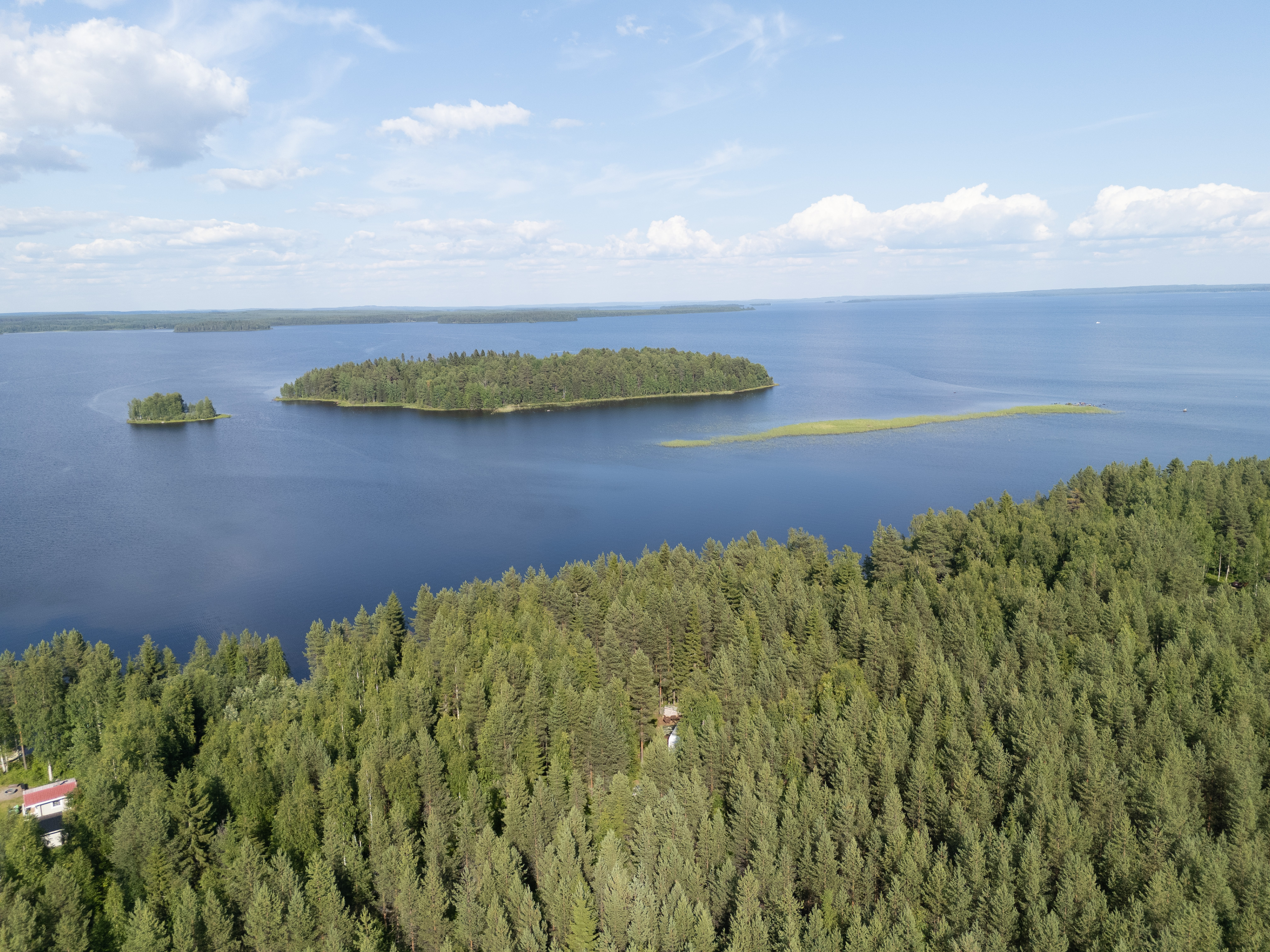 Neuvosenniementie 46, Varisniemi, Paltamo