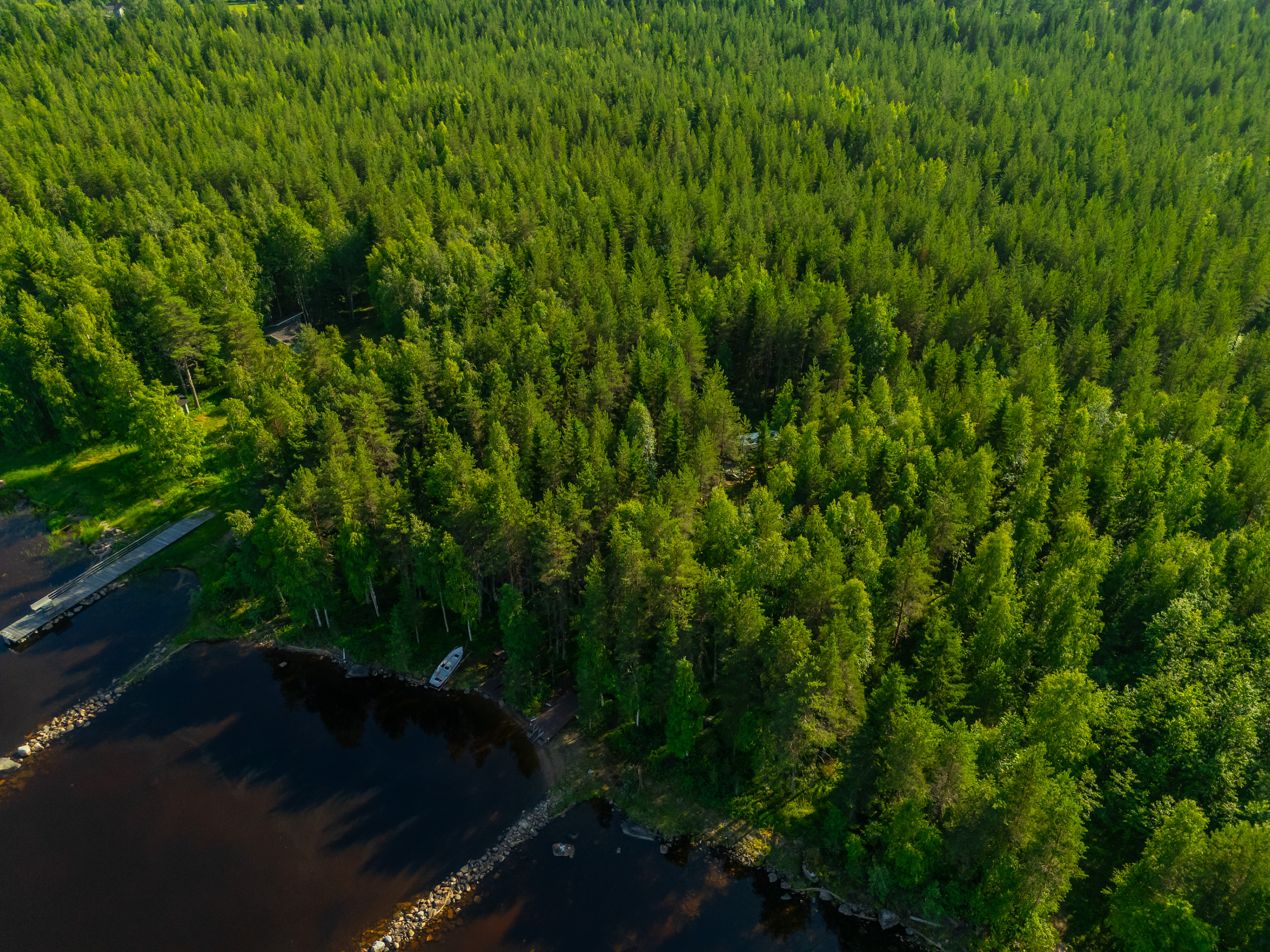 Neuvosenniementie 46, Varisniemi, Paltamo