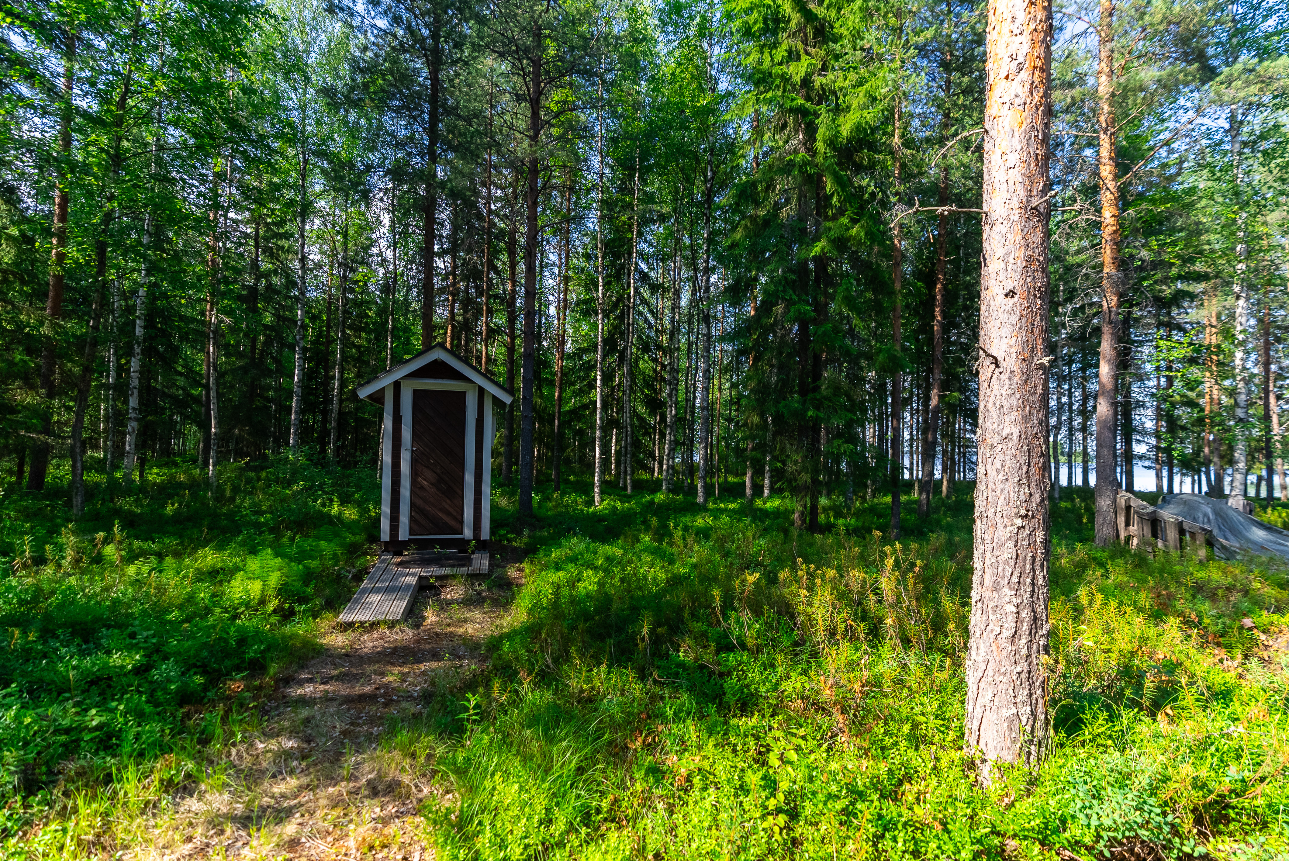 Neuvosenniementie 46, Varisniemi, Paltamo