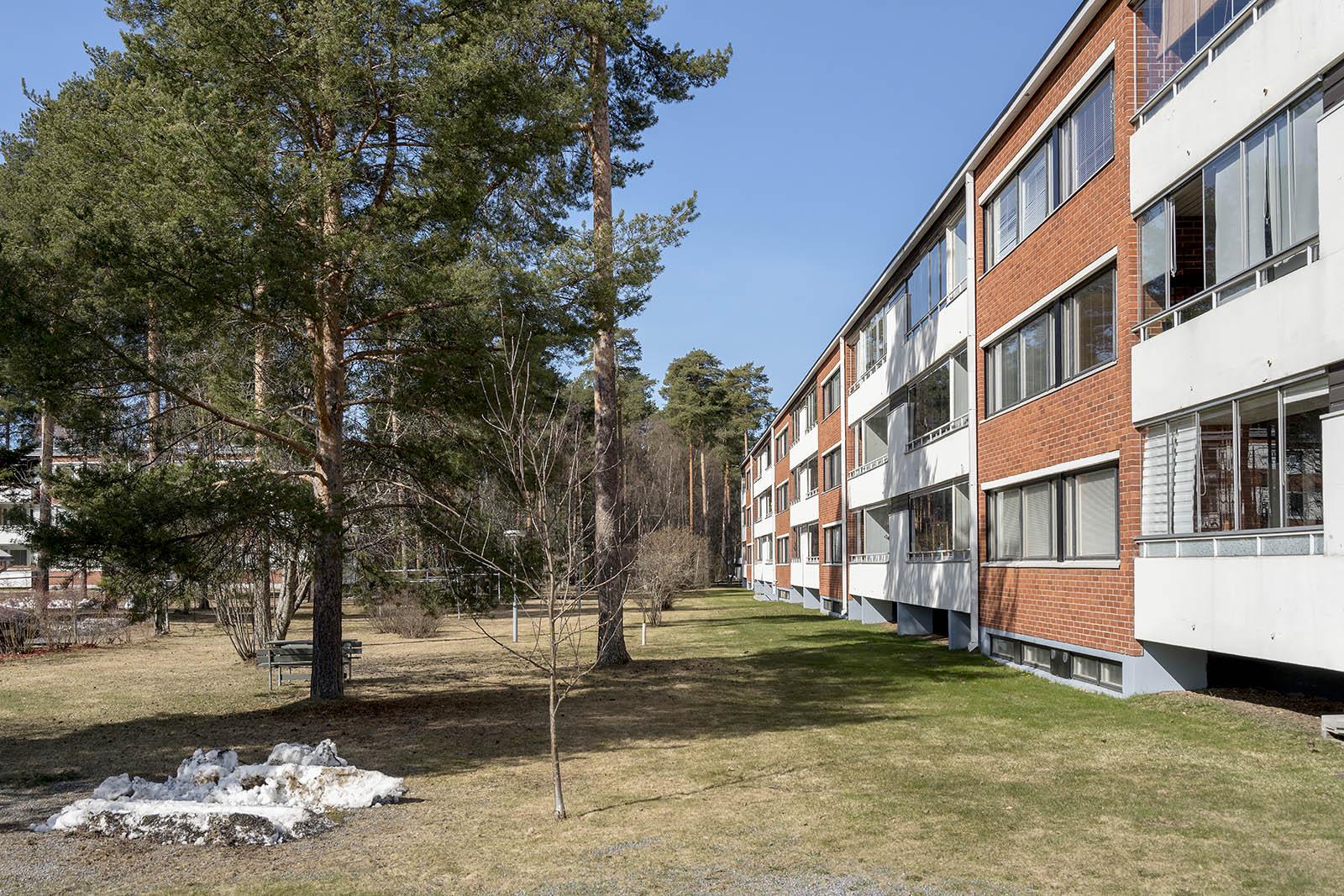 Suohaukantie 3, Kaukovainio, Oulu