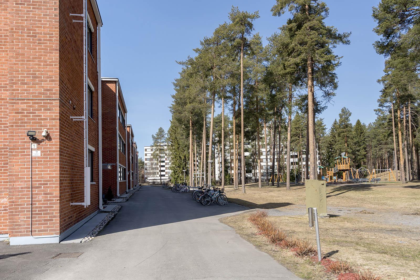 Suohaukantie 3, Kaukovainio, Oulu