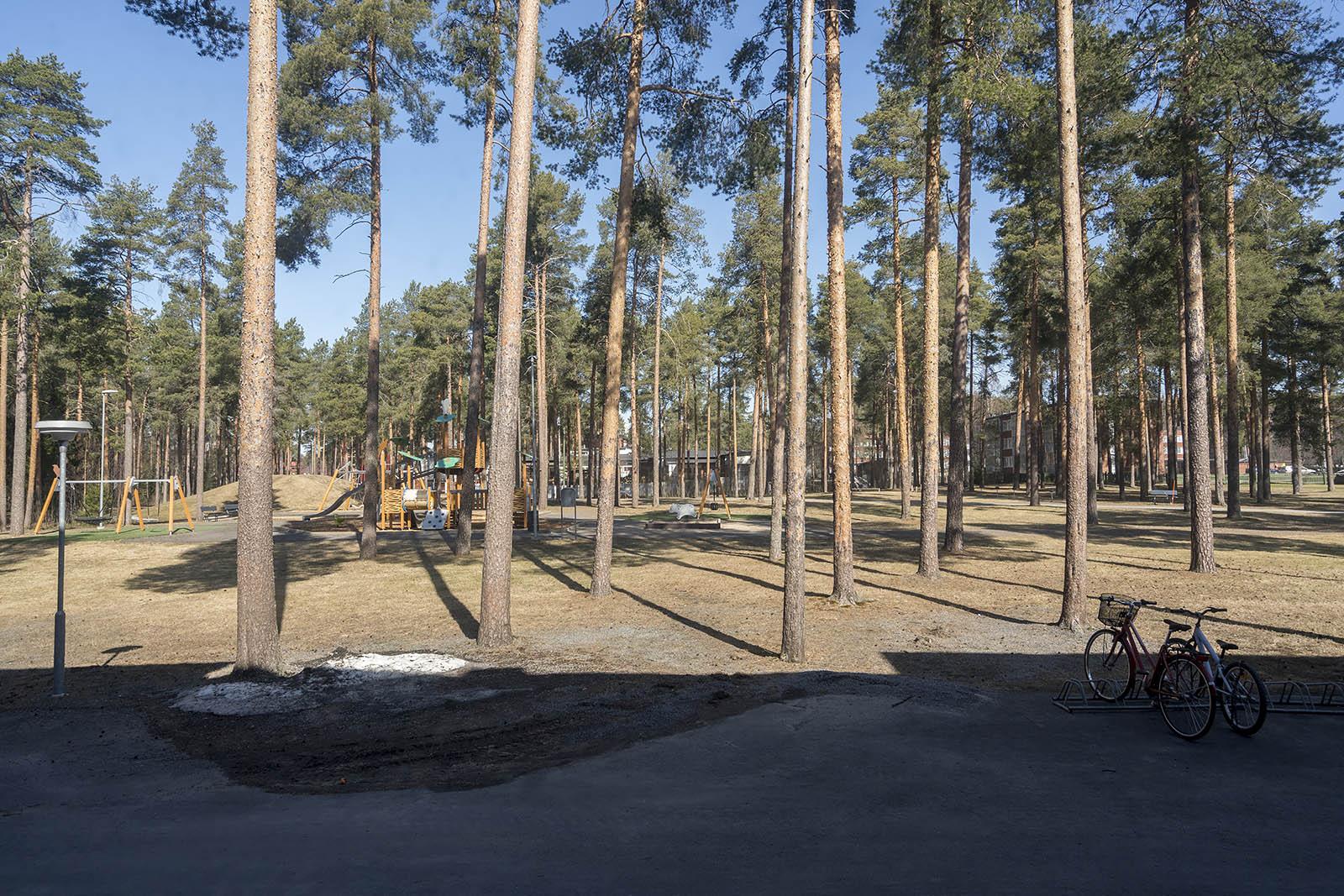 Suohaukantie 3, Kaukovainio, Oulu