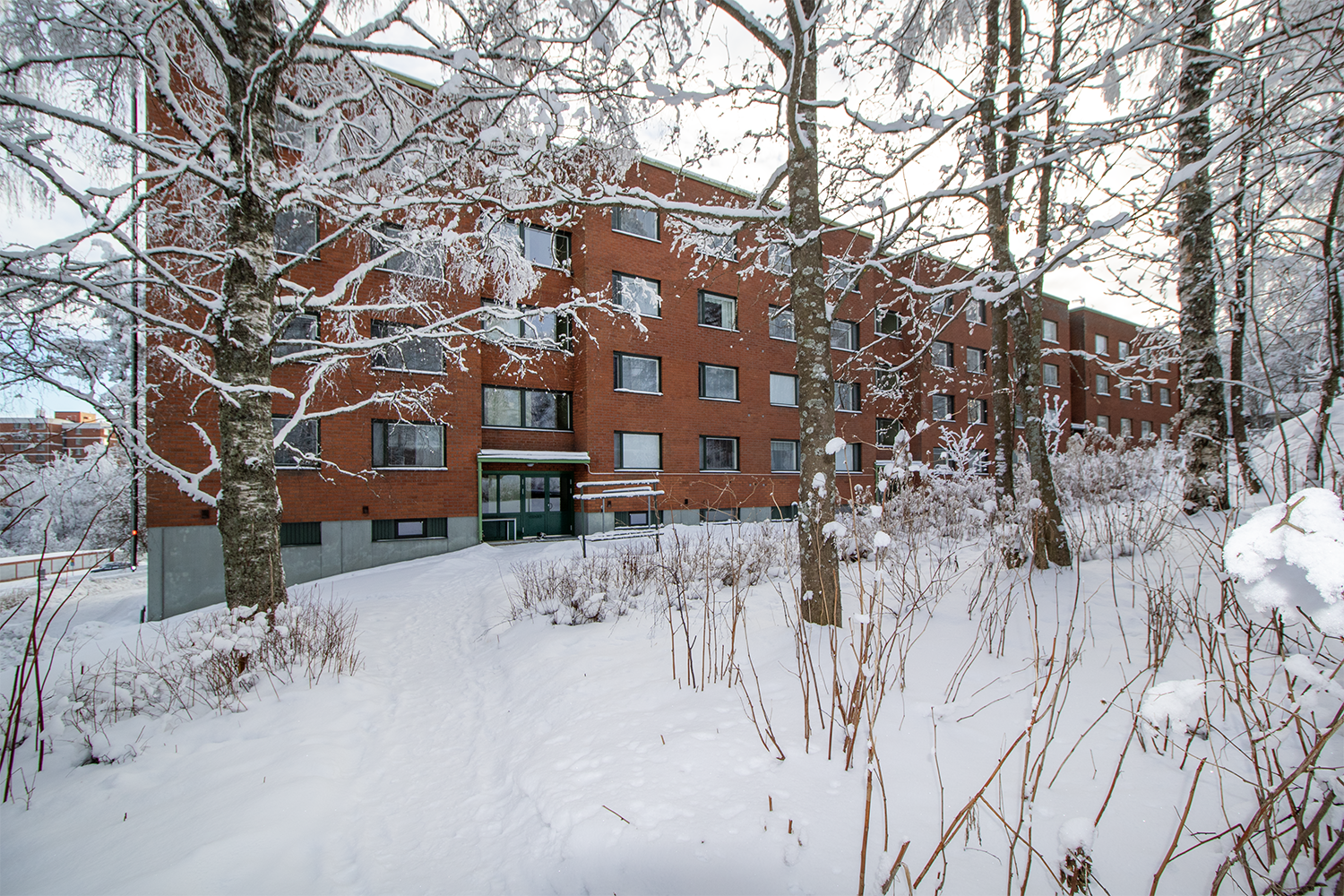 Hiihtäjäntie 3, Puijonlaakso, Kuopio