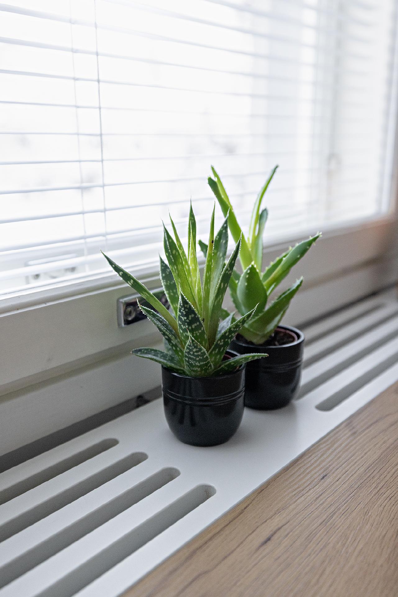 Riihivainiontie 1, Riihivainio, Kempele