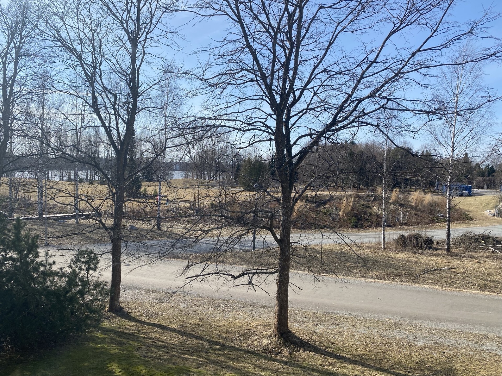 Siirtolapuutarhankatu 15, Hatanpää, Tampere