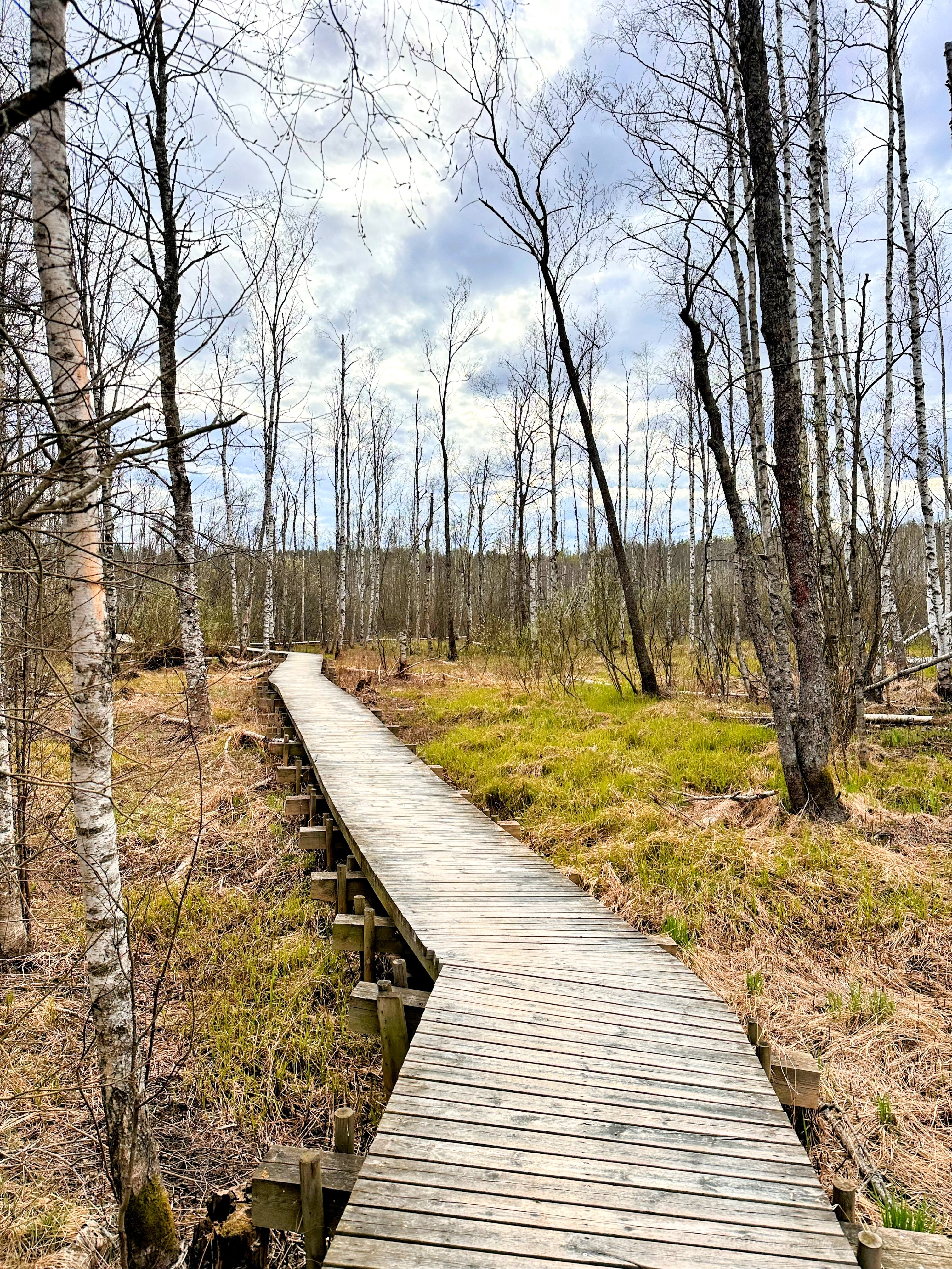 Nupurin lintutornille luontopolku