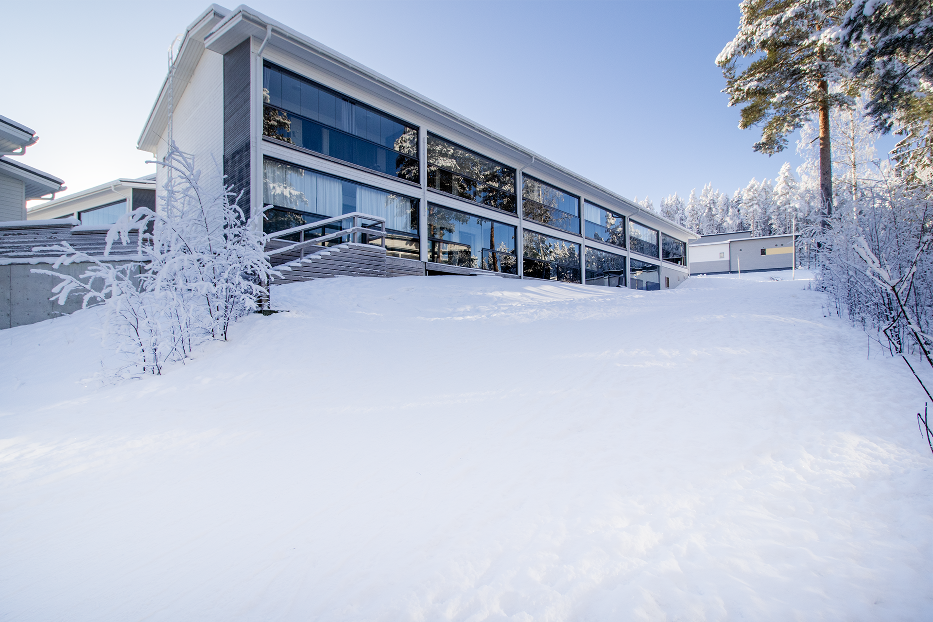 Jynkänvuoren metsät suoraan vieressä.