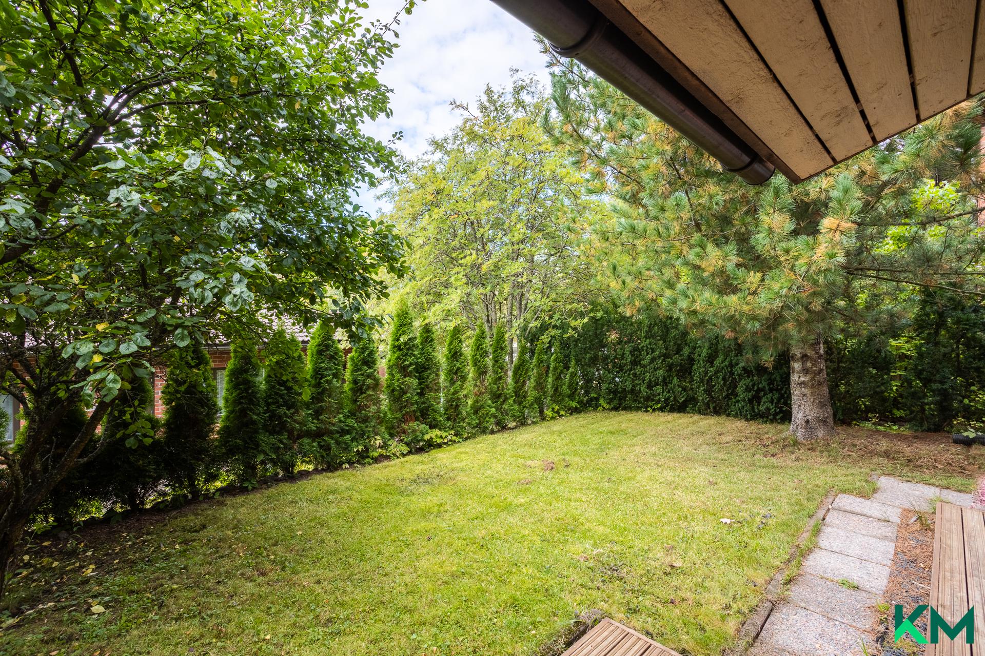 Tuijapensaat rajaavat etupihan