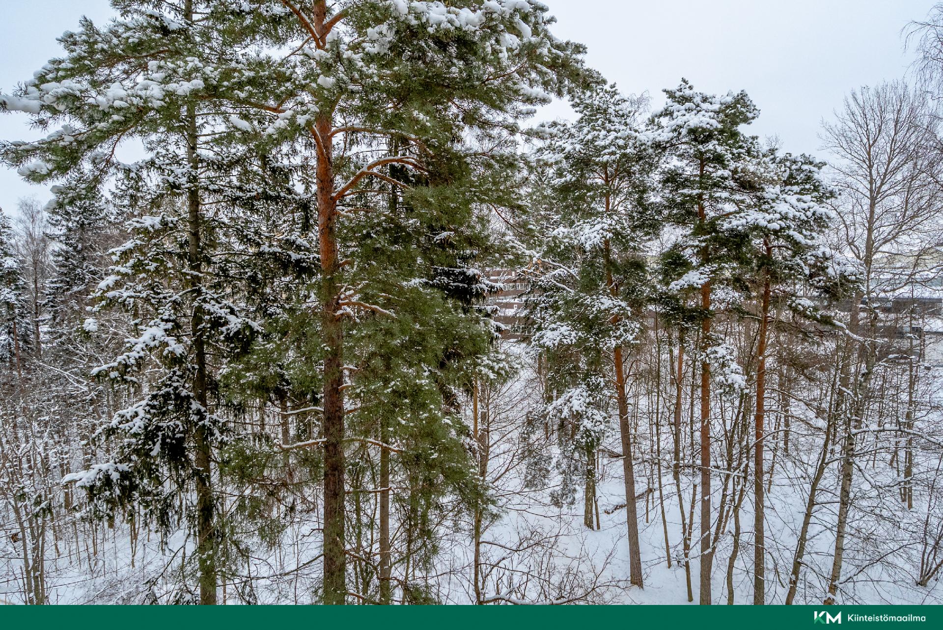 Hiihtomäentie 46, Herttoniemi, Helsinki