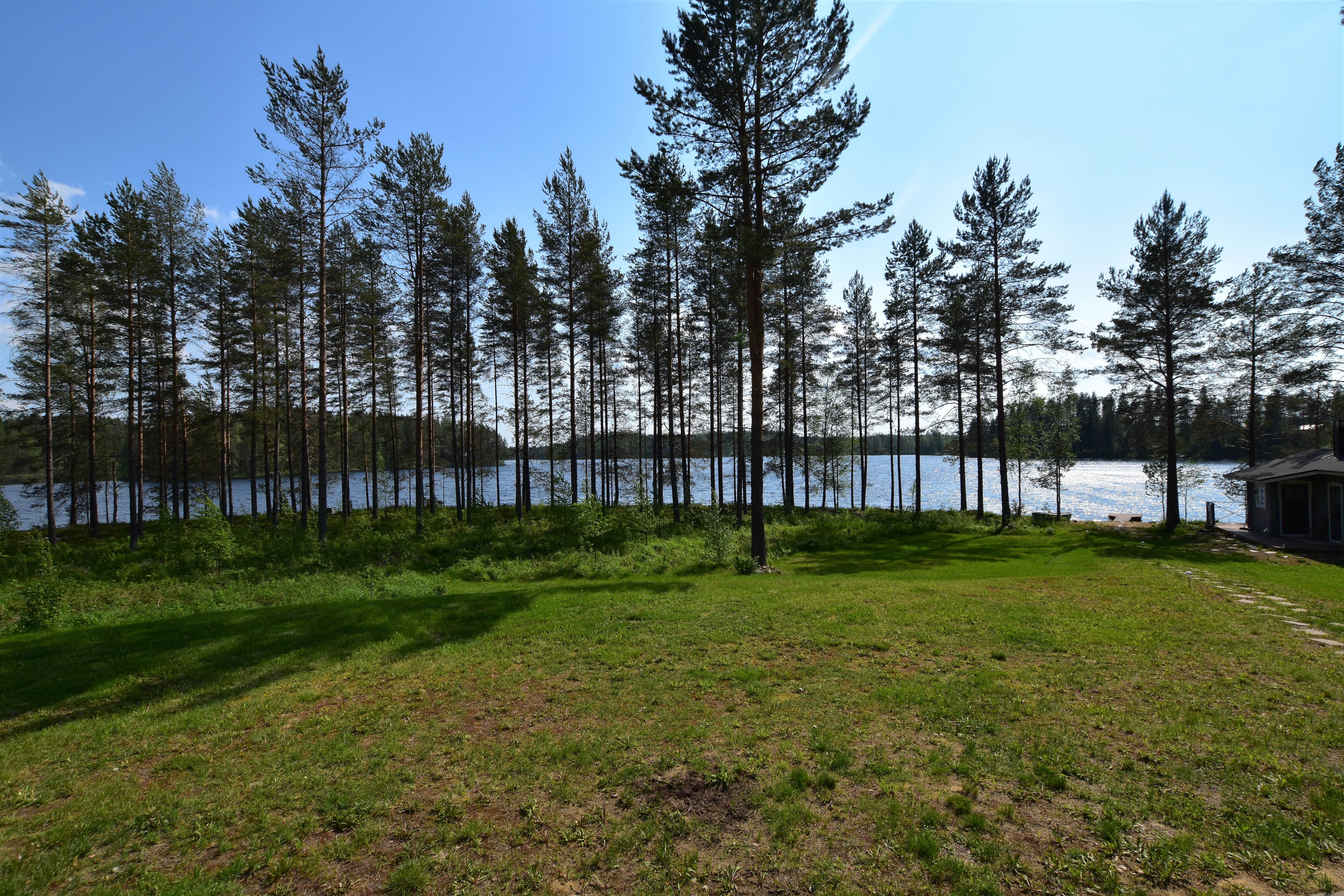 Pihanäkymä