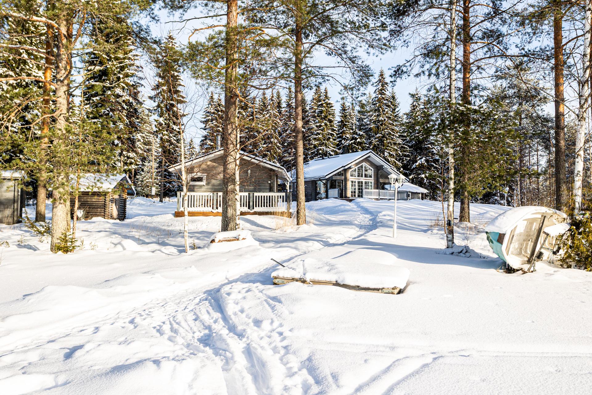 Pihapiiri järveltä katsottuna