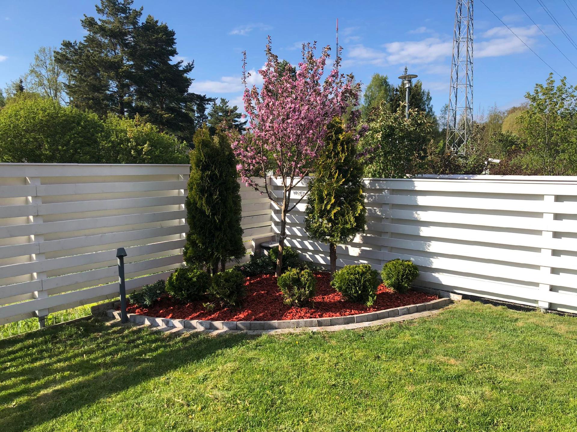 Kesäkuva suojaisasta pihasta