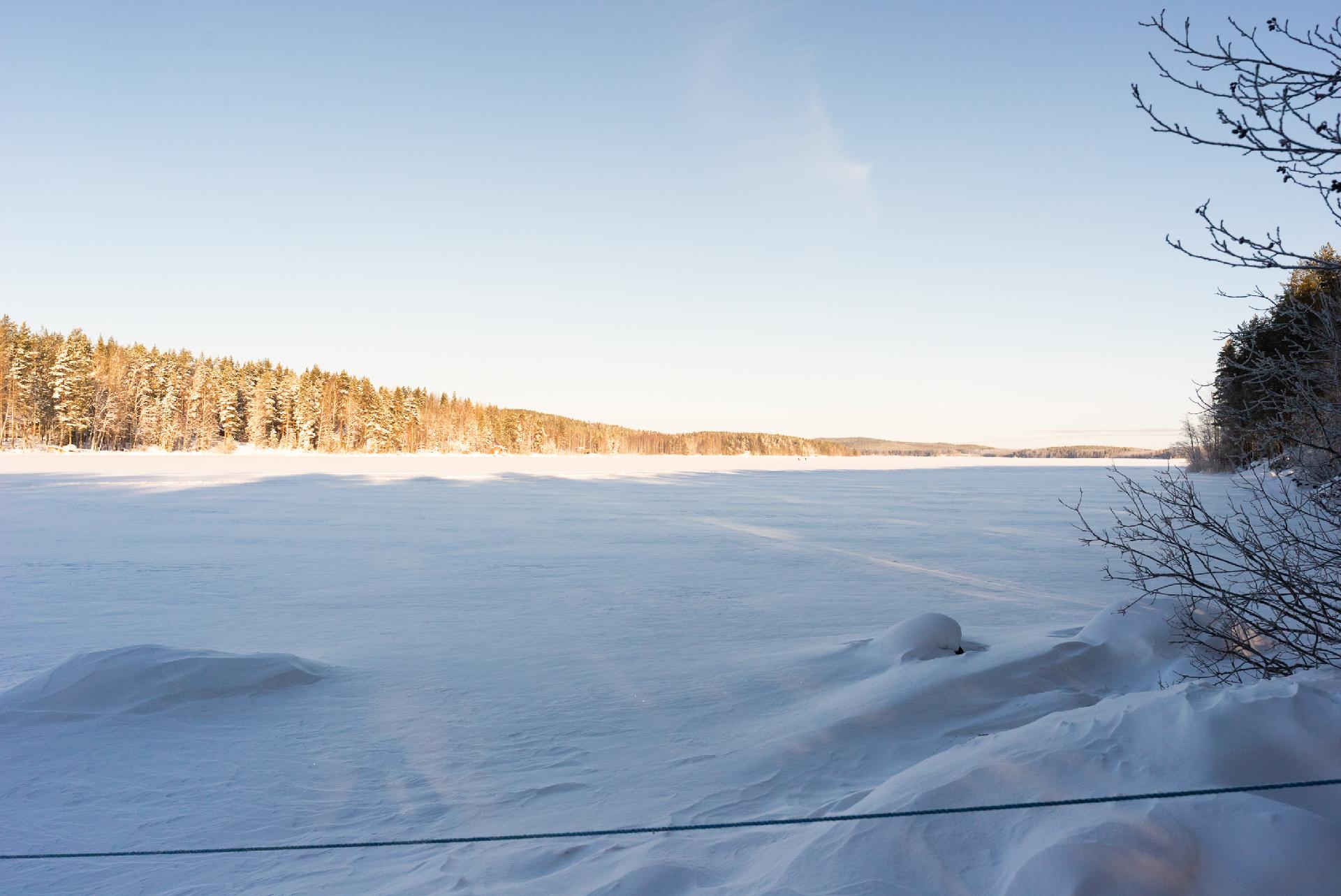 Pyhäsaari 380, Vaajakoski, Jyväskylä