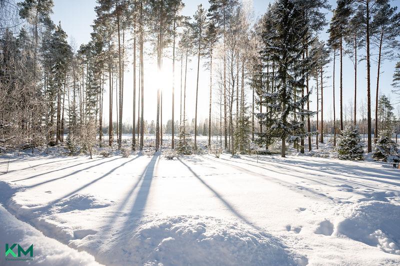 Pikkuhirventie 9, Hämeenkoski, Hollola