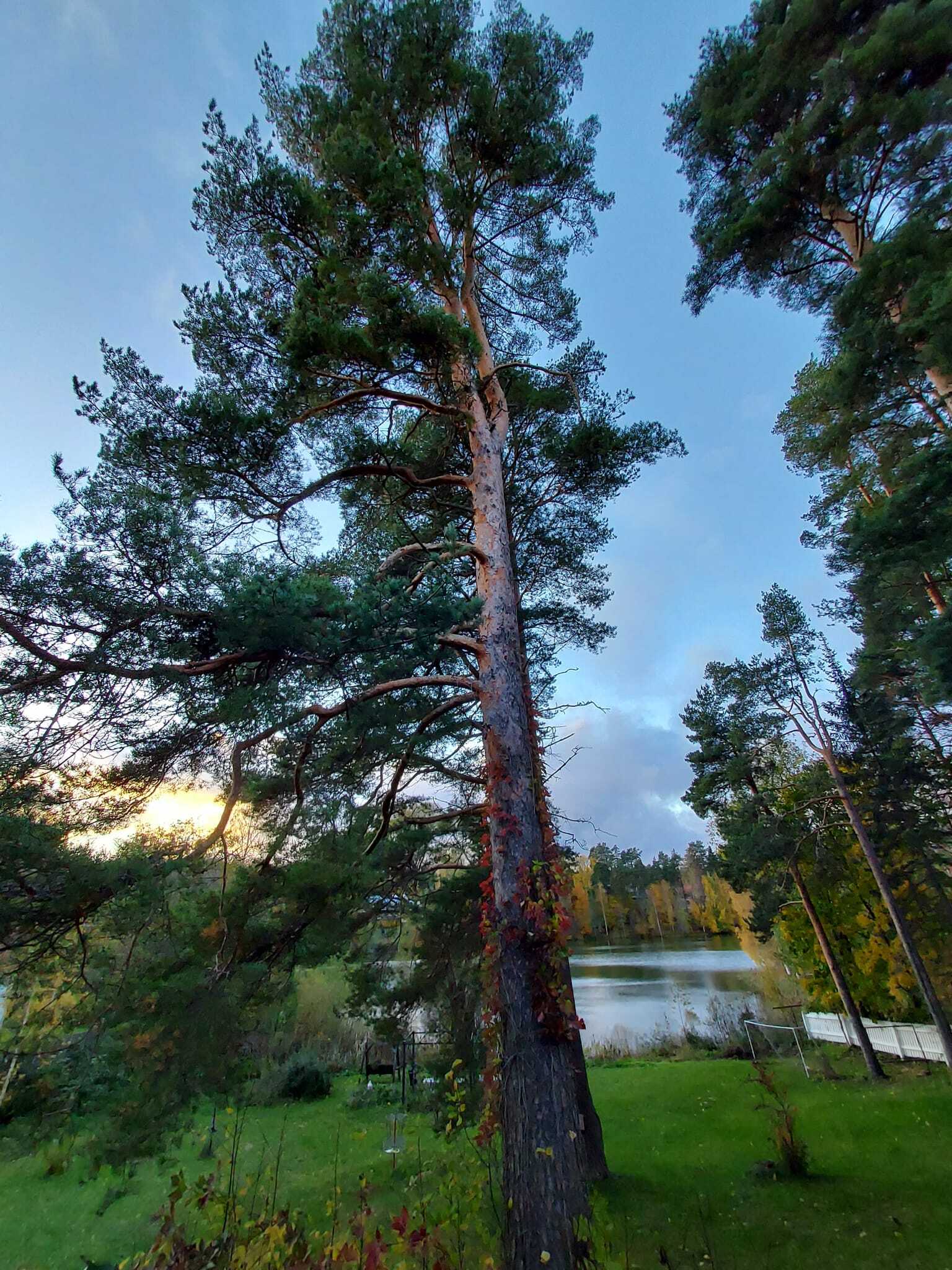 Päämajankatu 22a, Kaukola, Mikkeli