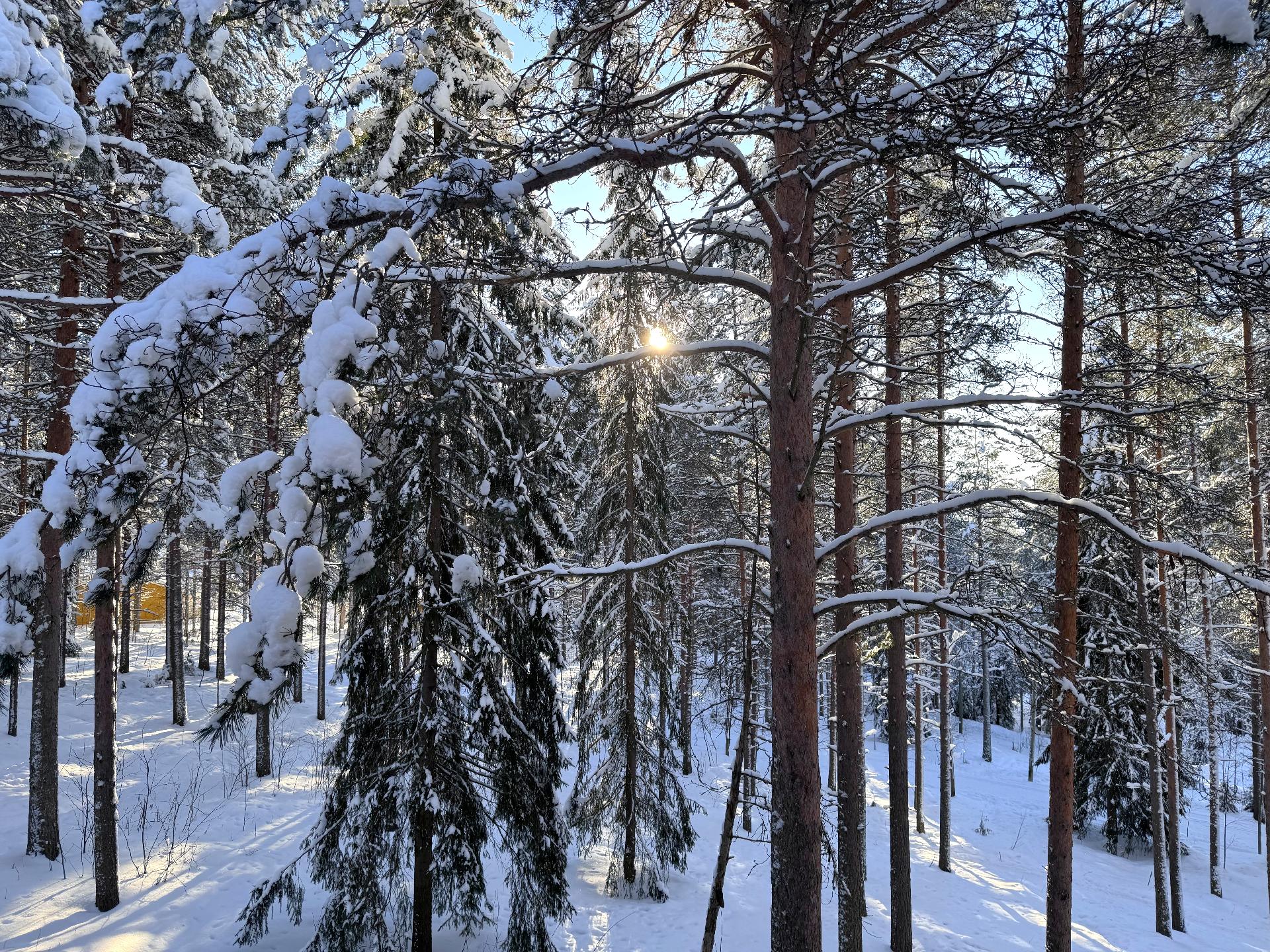 Saaruantie 9, Ounasrinne, Rovaniemi