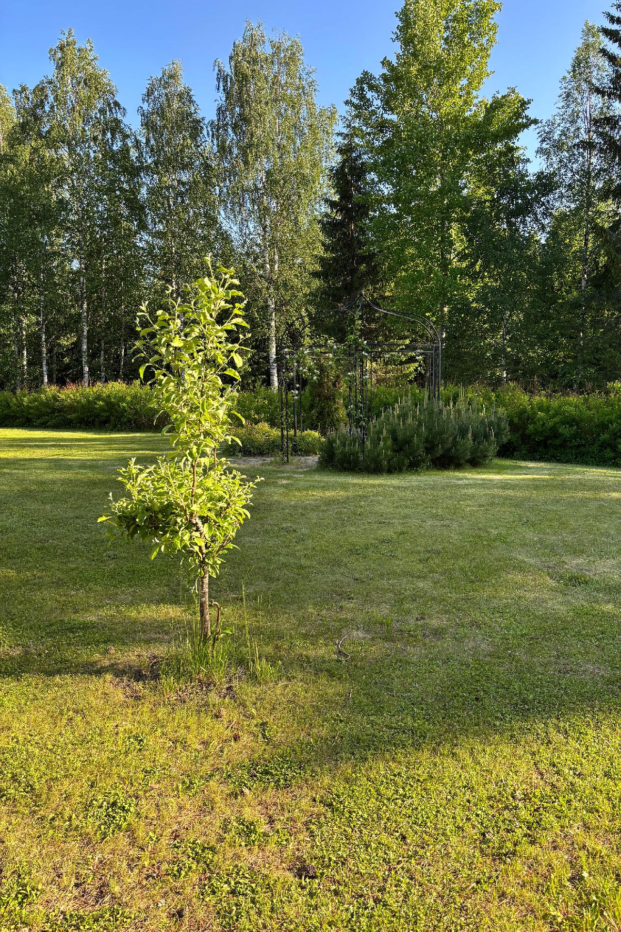 Ruusukaari 6, Nilsiä, Kuopio