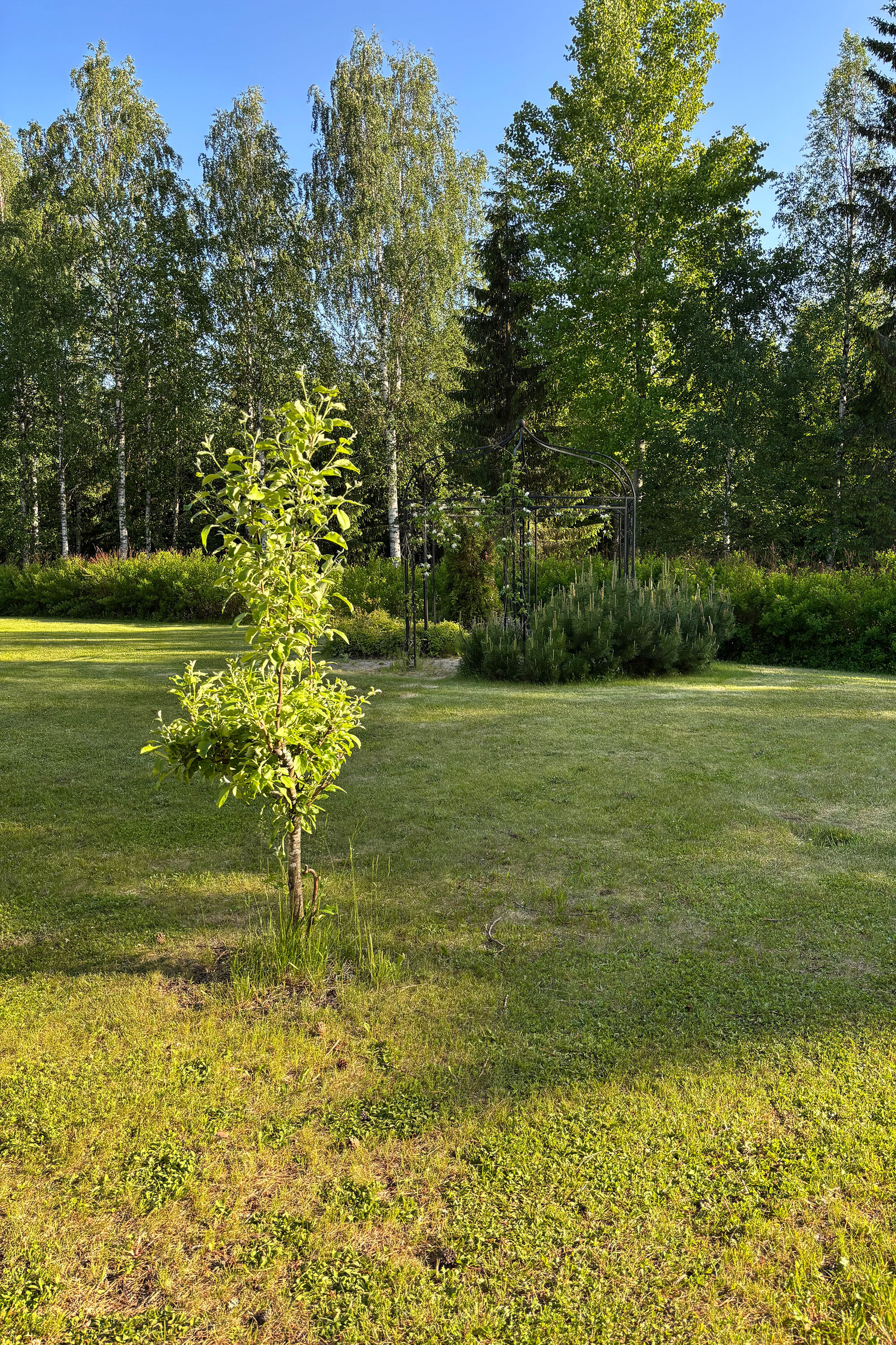 Ruusukaari 6, Nilsiä, Kuopio