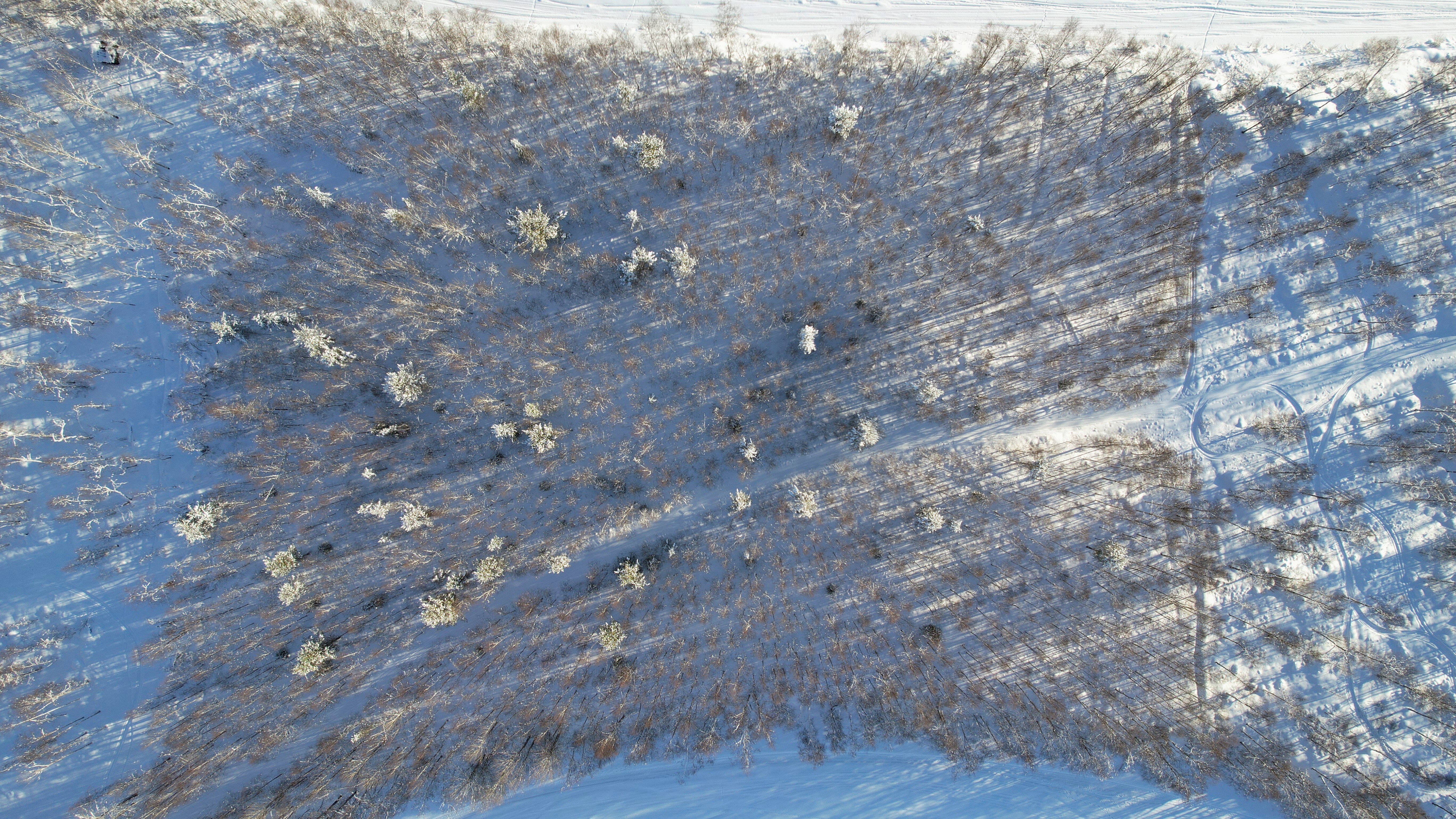 Omaa rantaa sekä Ivalojokeen että Taivalvuopajaan.