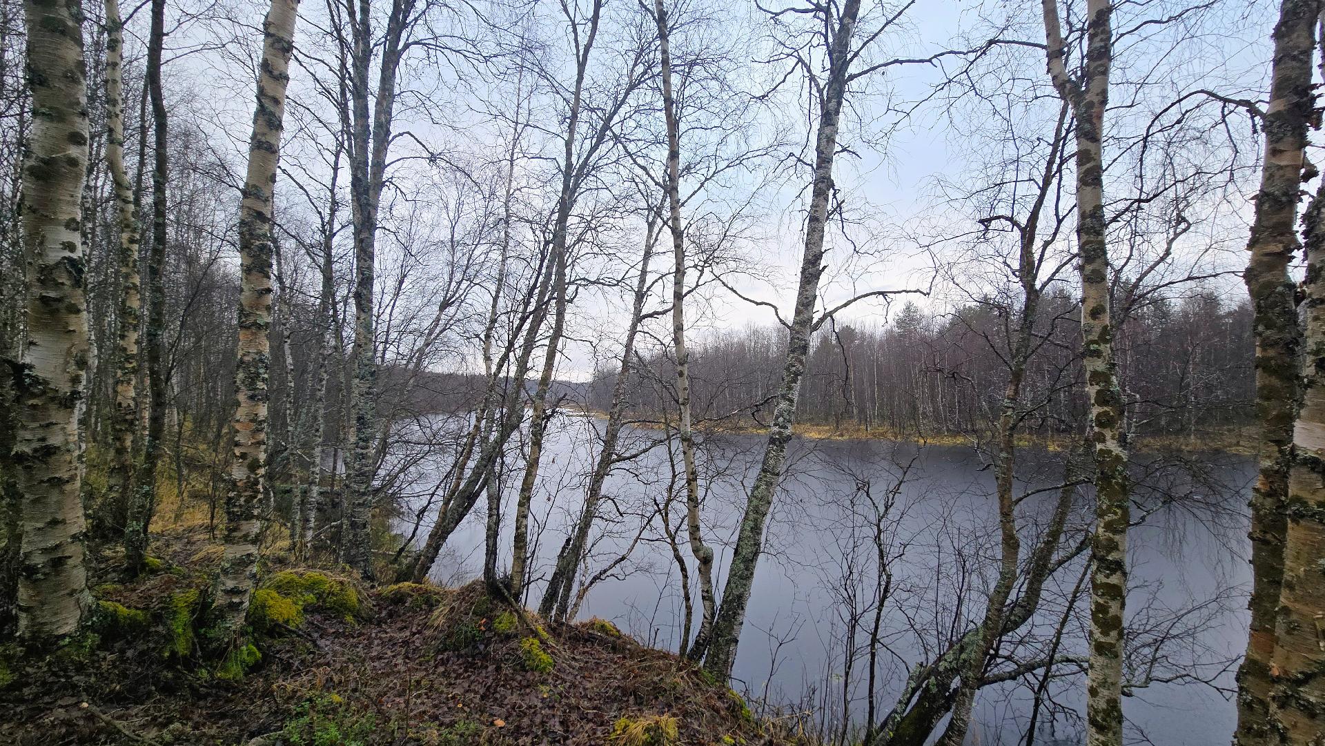 Taivalvuopajan rantapenkka.