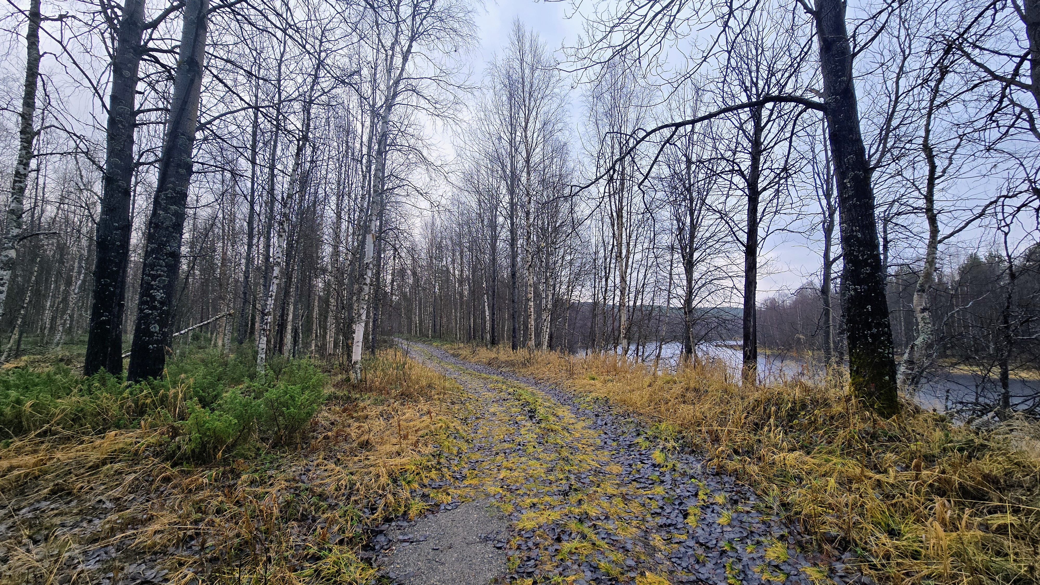 Tie kulkee Taivalvuopajan reunalla.