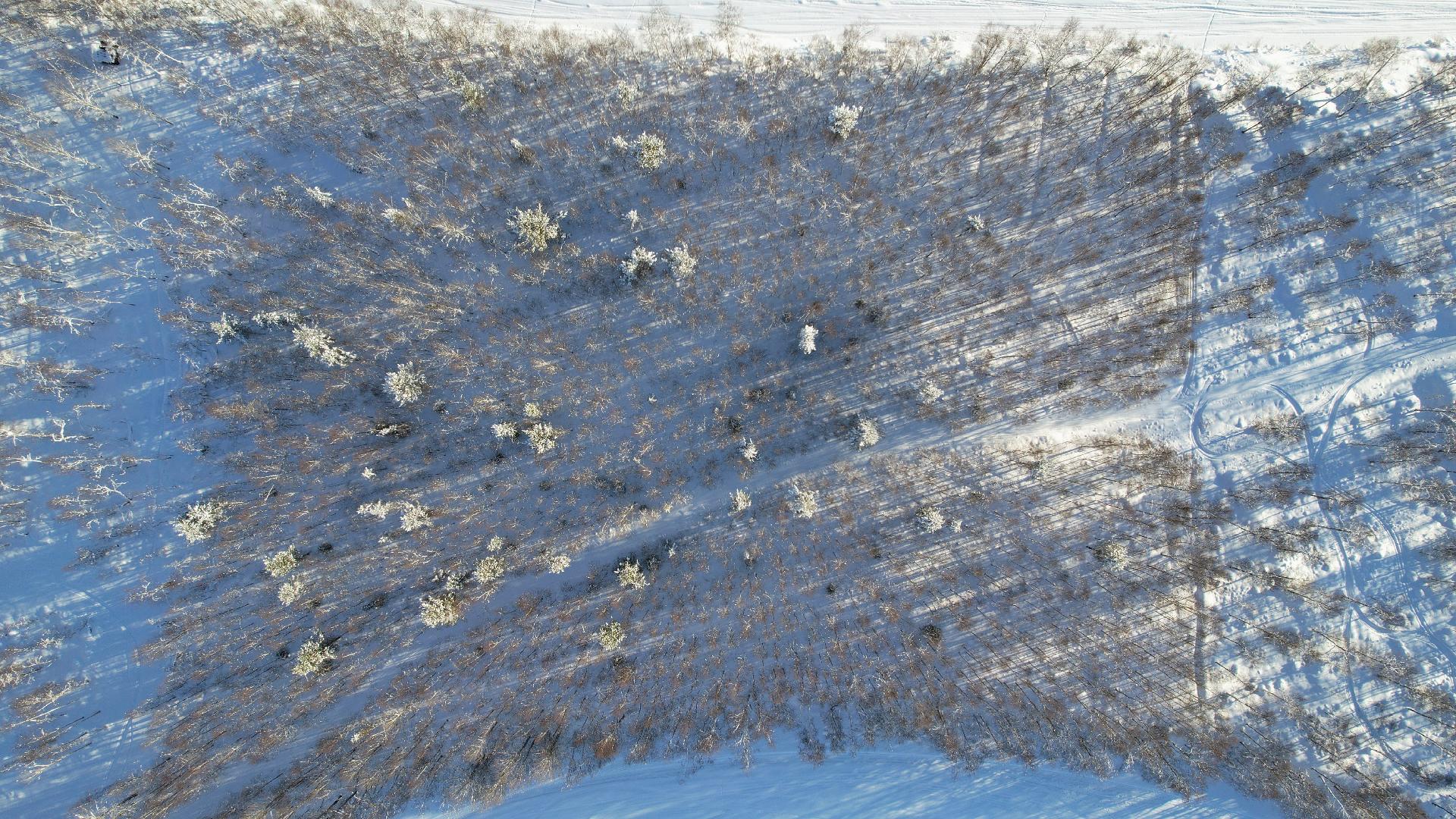 Omaa rantaa sekä Ivalojokeen että Taivalvuopajaan.