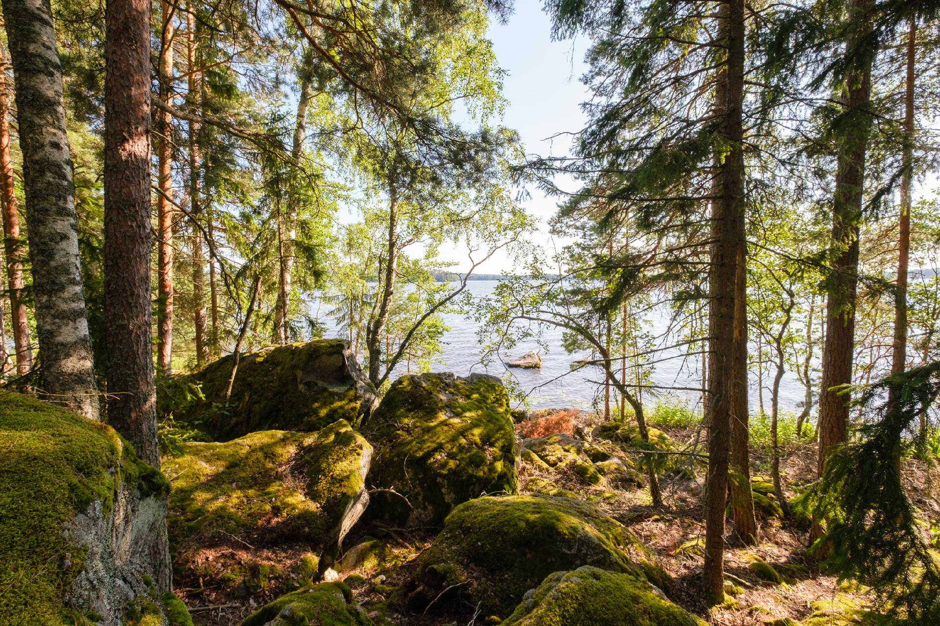 Niemeläntie 98, Säijä, Lempäälä