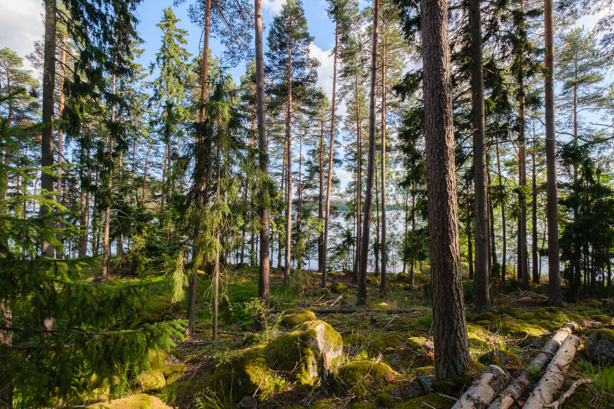Niemeläntie 100, Säijä, Lempäälä