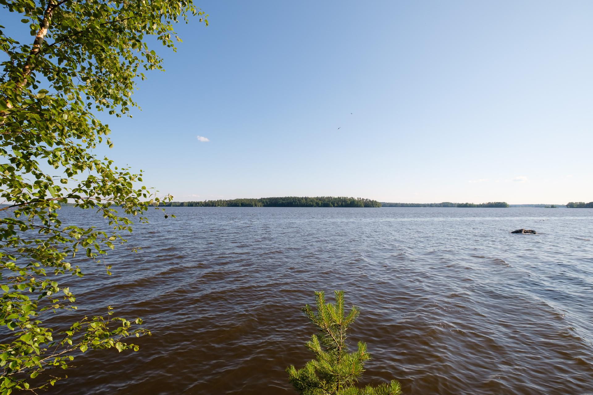 Niemeläntie 100, Säijä, Lempäälä