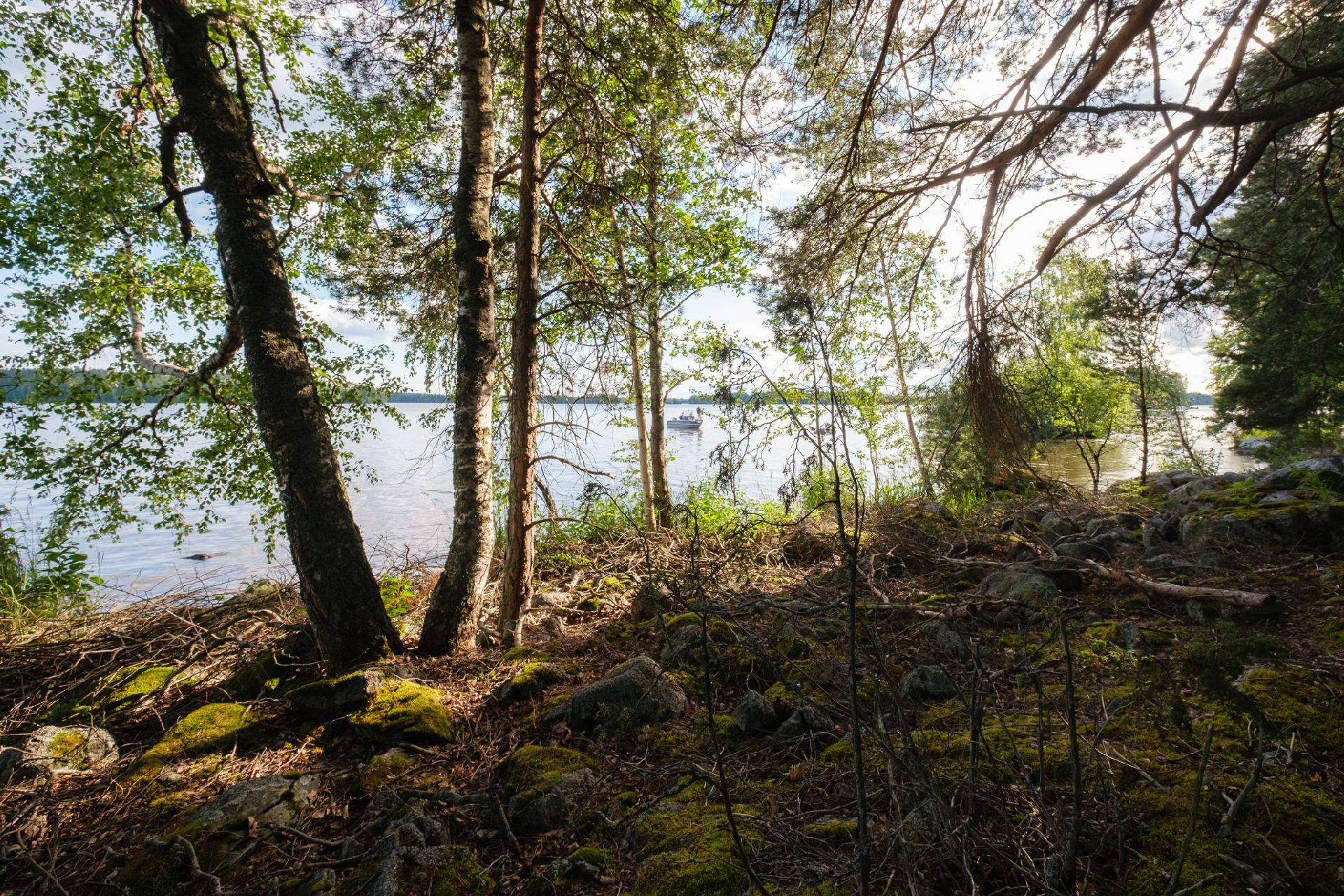 Niemeläntie 100, Säijä, Lempäälä