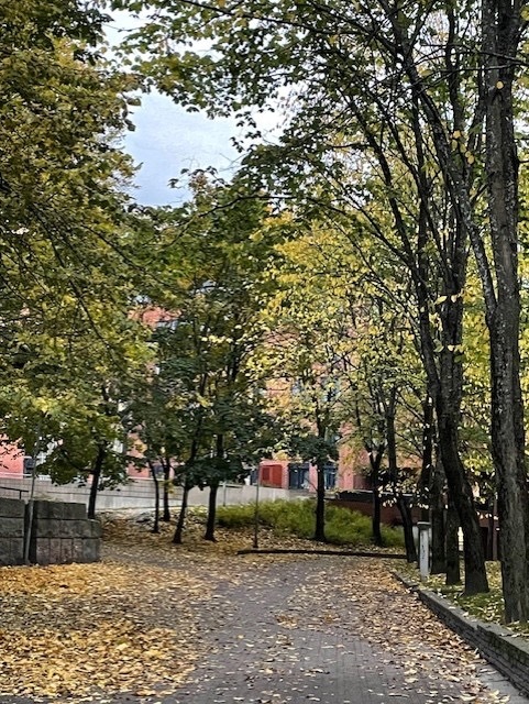 Vetehisenkuja 3, Hakaniemi, Helsinki
