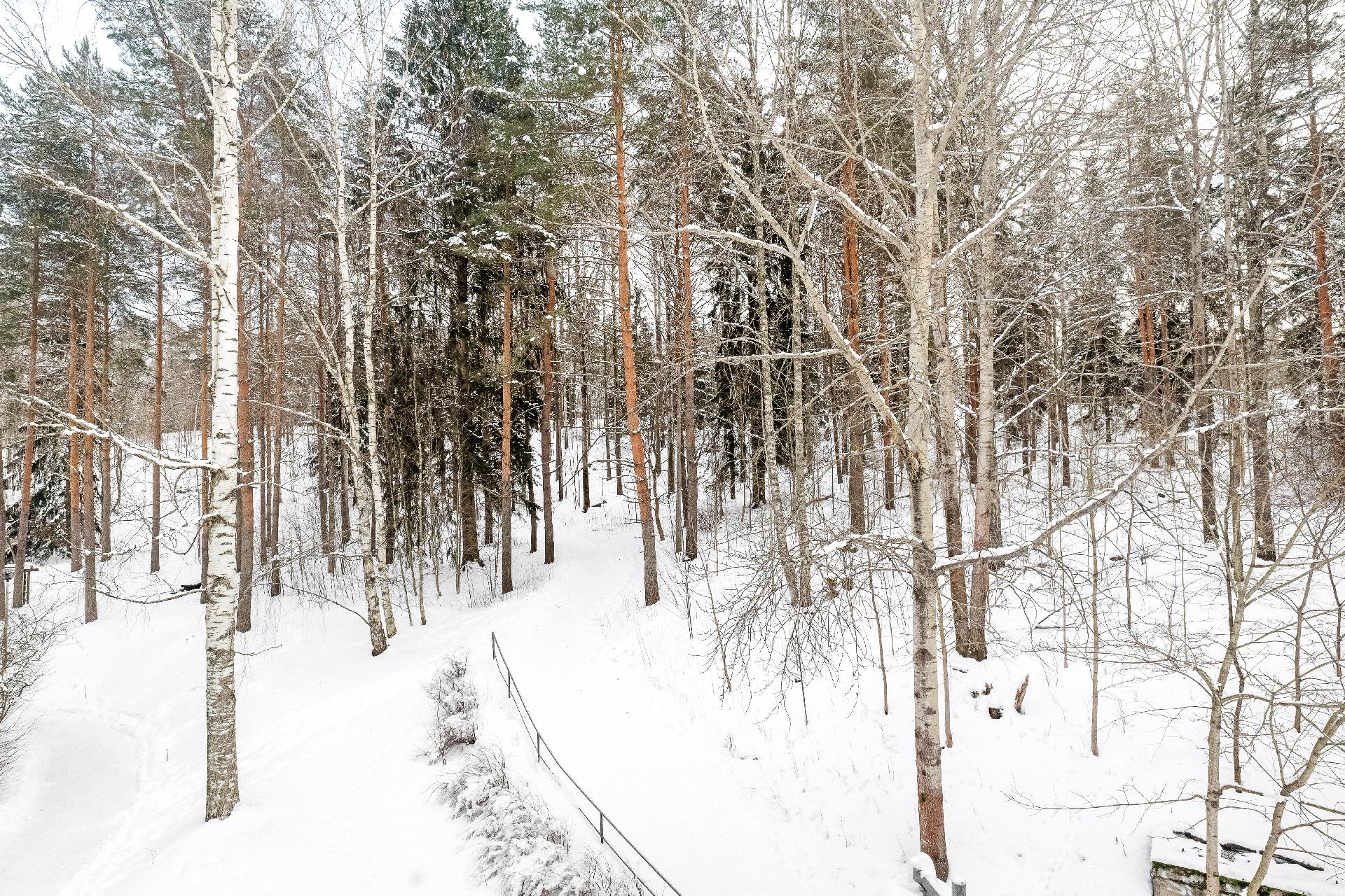 Trumpettitie 4, Kannelmäki, Helsinki