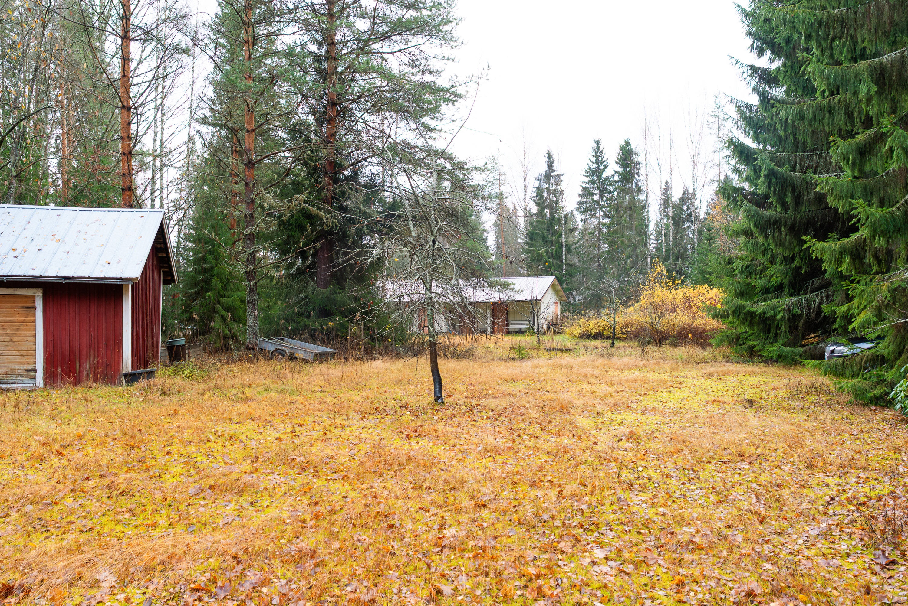 tasainen pihapiiri