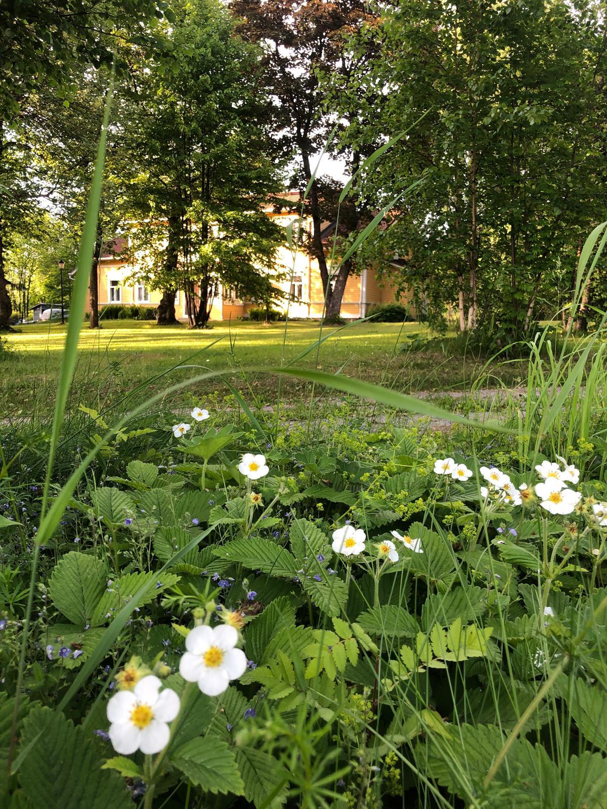 Rykmentinkatu 40, Hennala, Lahti