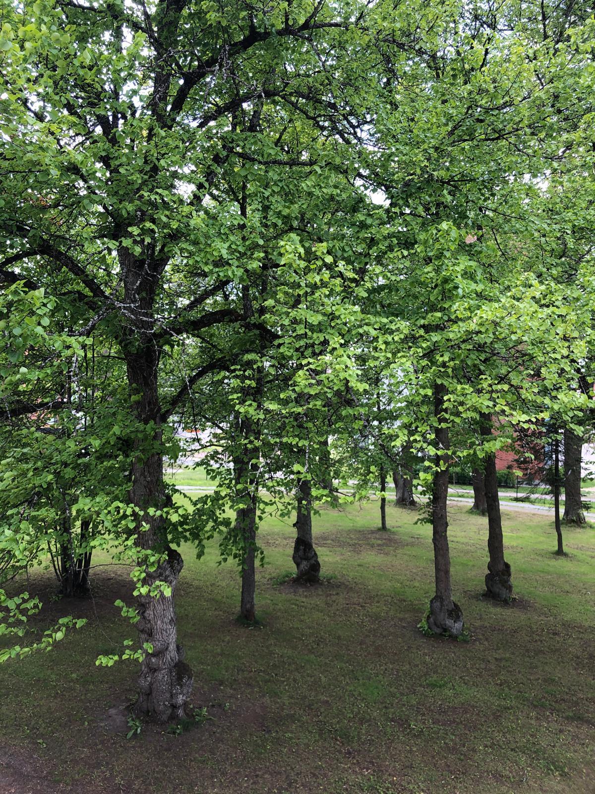 Rykmentinkatu 40, Hennala, Lahti