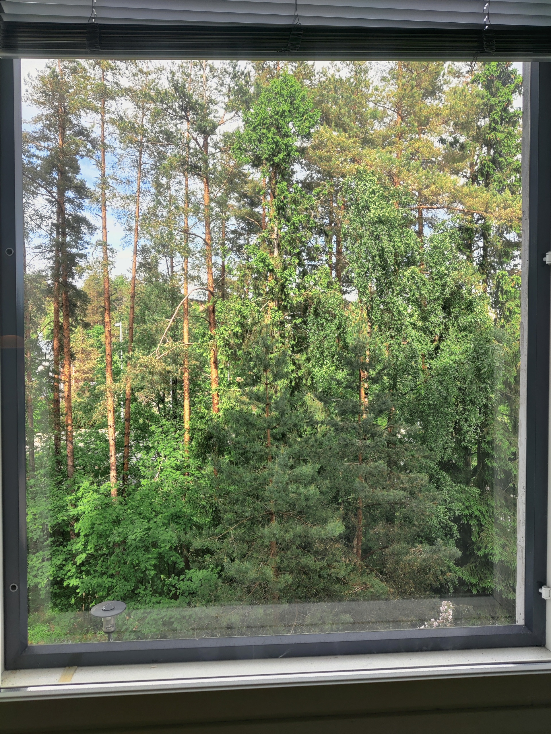 Makuuhuoneen ikkuna näkymä.