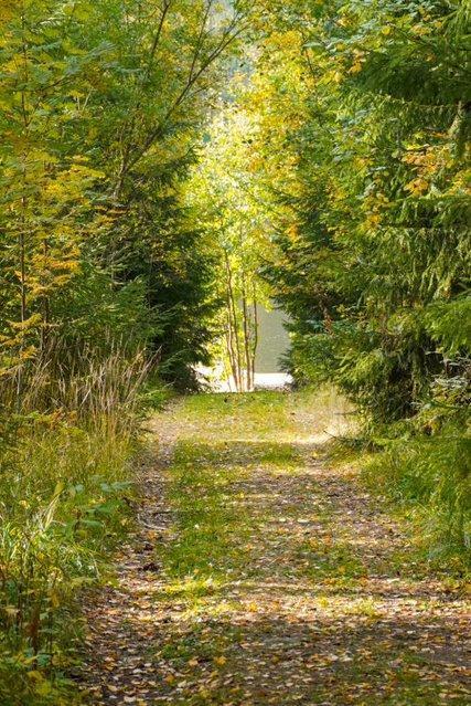 Tyrjäntie 12, Tusku, Mikkeli