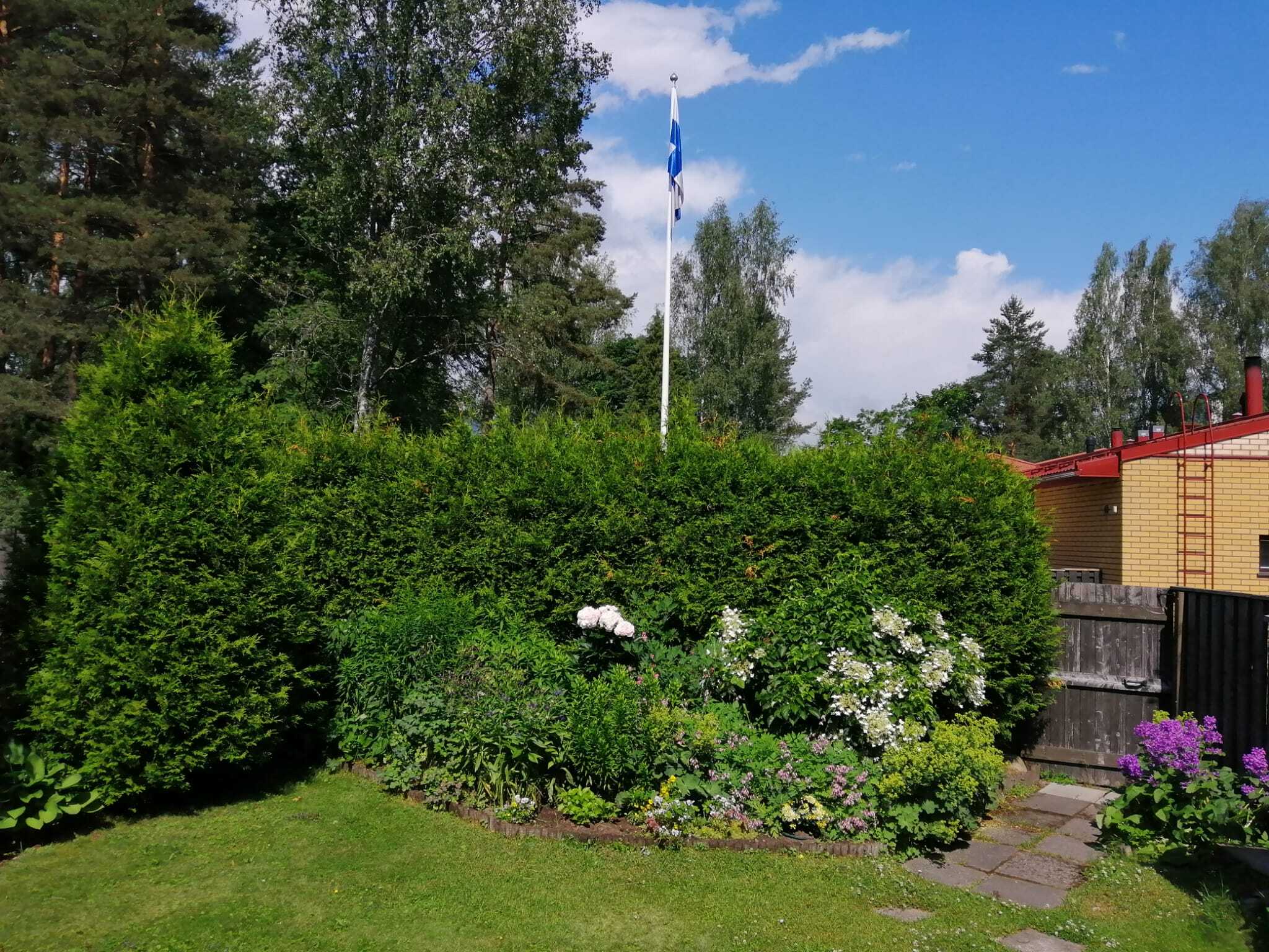 piha kesällä