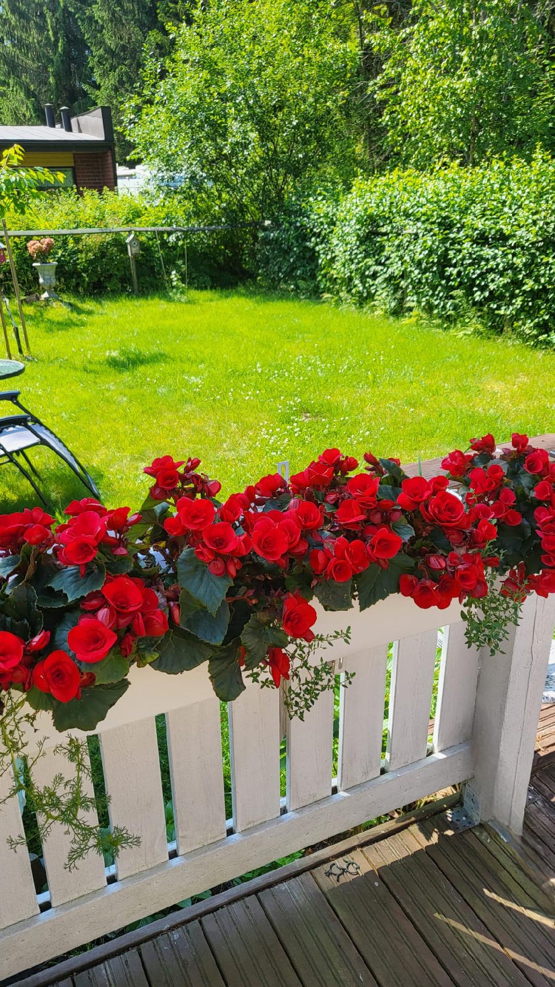 Sukkulatie 12, Karsikko, Joensuu